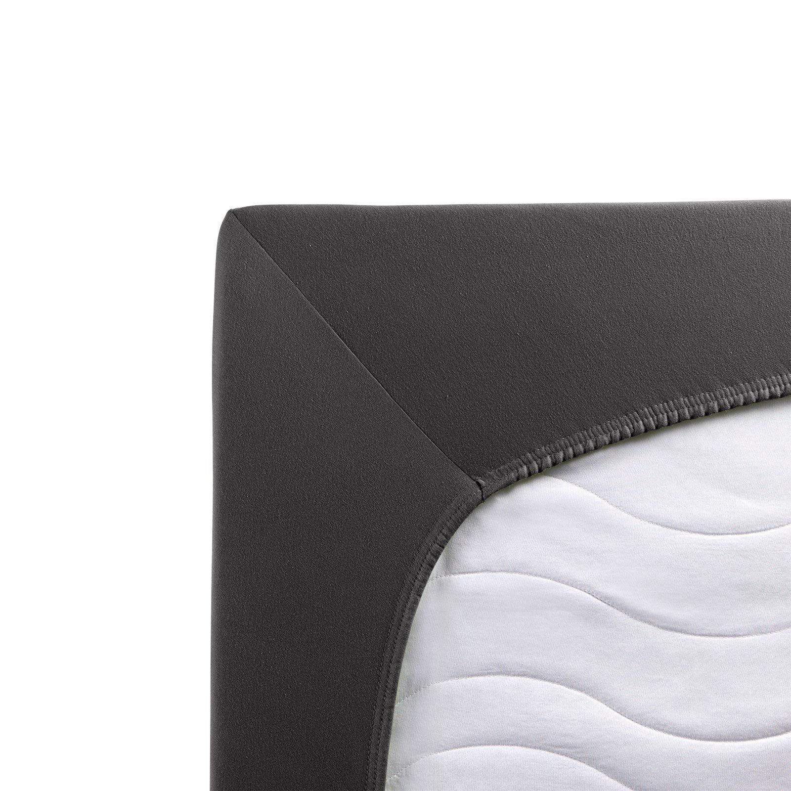 TRAUMSCHLAF Spannbettlaken Premium Interlock, Jersey, Gummizug: günstig online kaufen