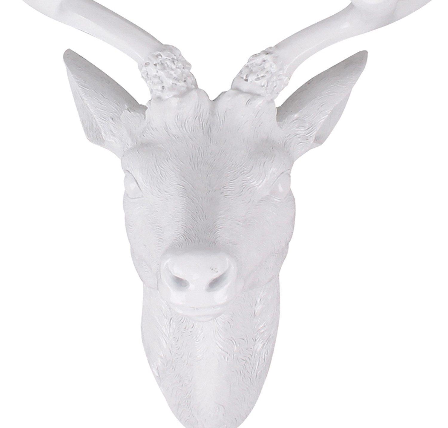 Mojawo Wanddekoobjekt XXL Hirschgeweih Hirschkopf Geweih 10-Ender Weiß 48x3 günstig online kaufen