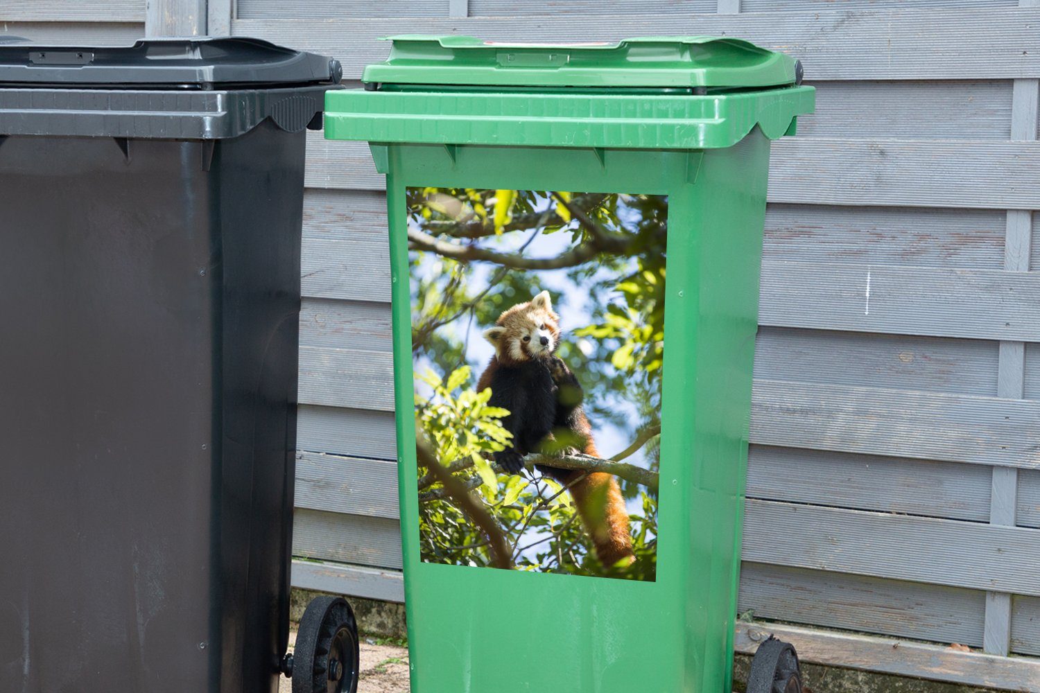 Mülltonne, Panda - (1 St), - Container, Baum MuchoWow Mülleimer-aufkleber, Wandsticker Pflanzen Abfalbehälter Sticker,