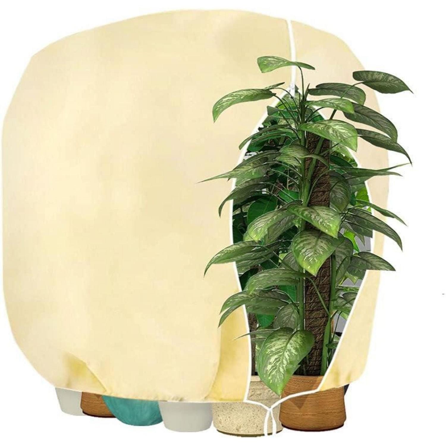 LuxusKollektion Winterschutzhaube Winterschutz Pflanzenabdeckung Baum Palmen Balkon 160x240cm beige