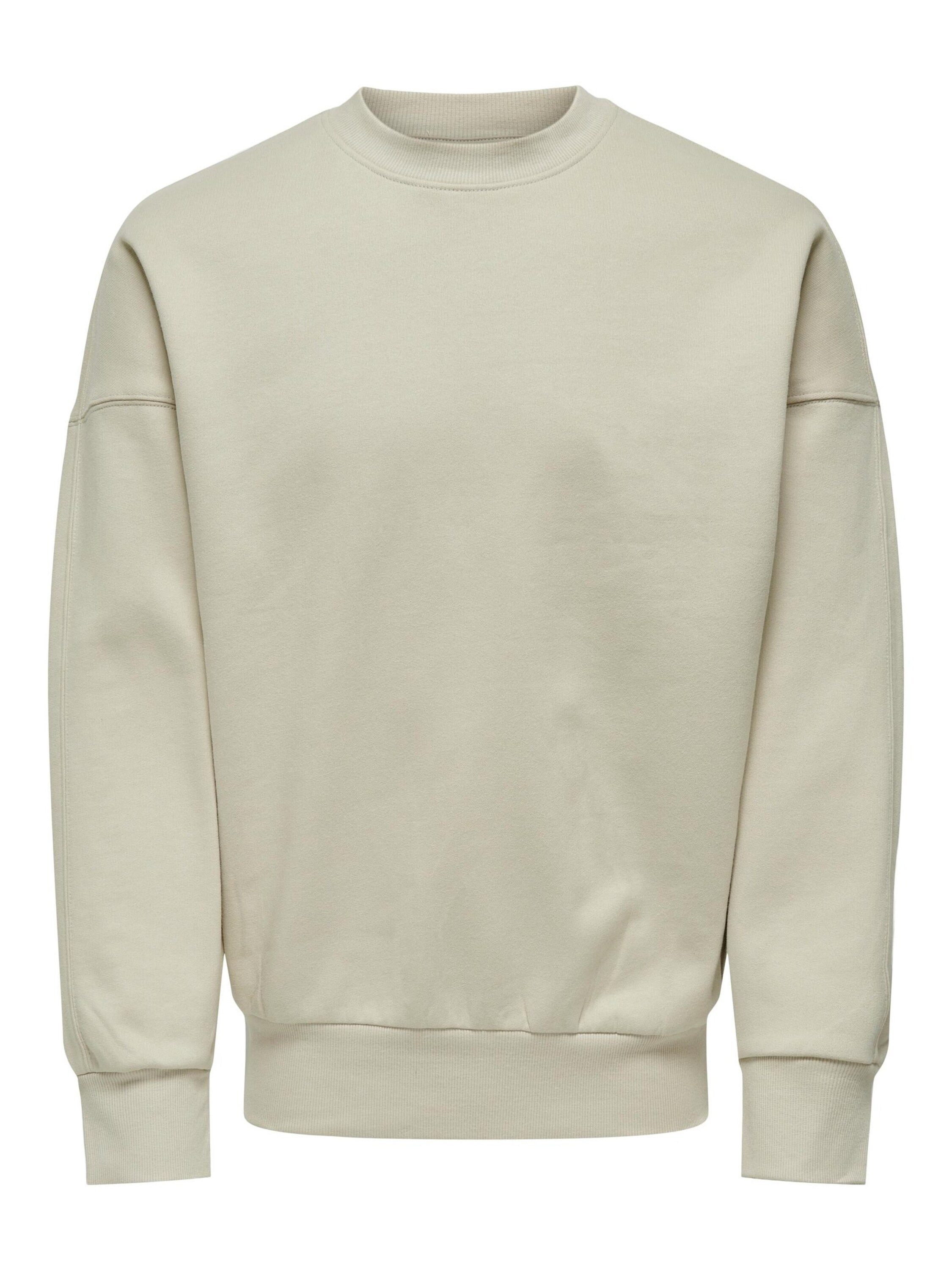 Sweatshirt Dan