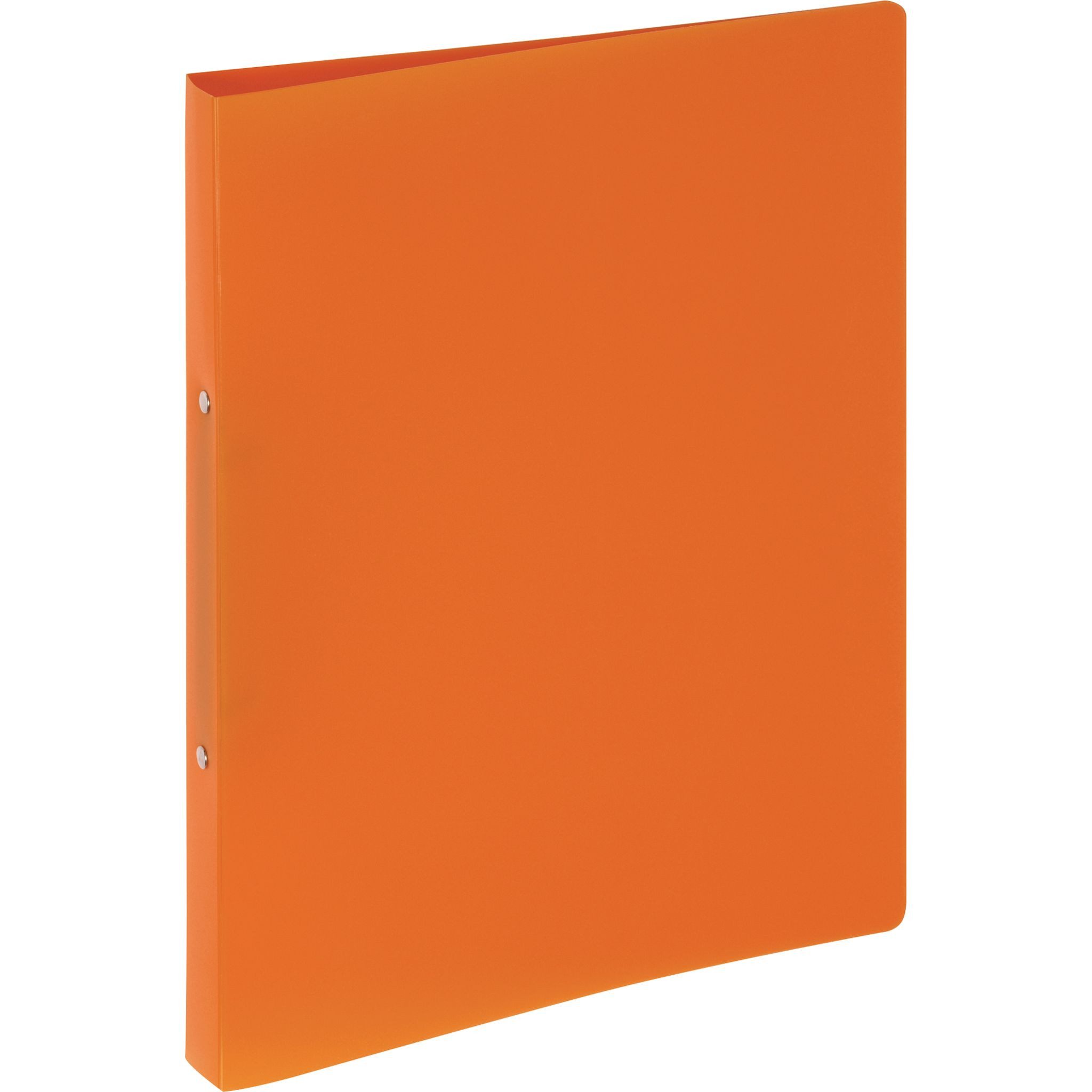 Ringbuchmappe Pagna Ringbuch A4 16mm PP 2-Ring-Mechanik orange