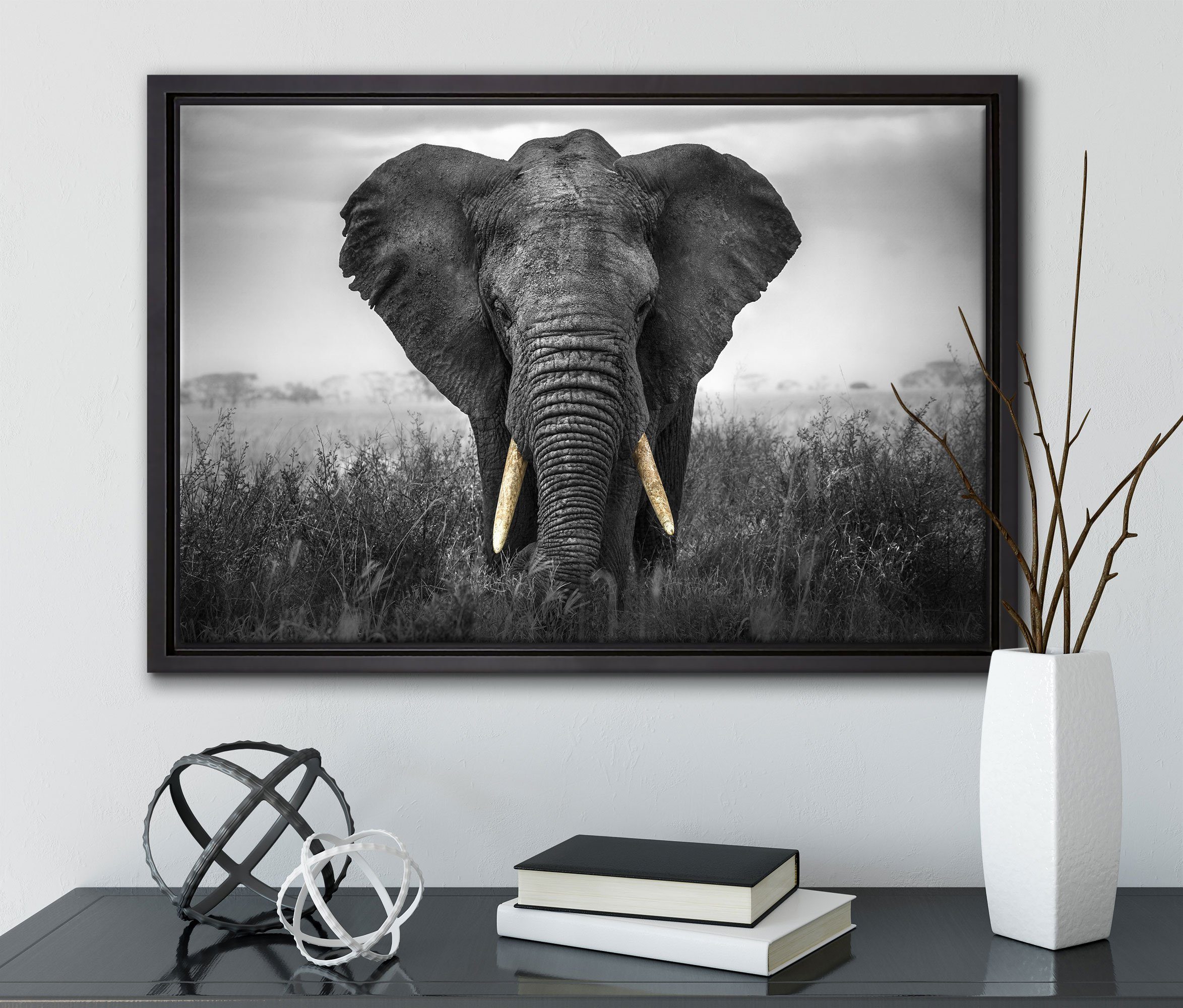 Leinwandbild einem Elefant, Zackenaufhänger inkl. St), prachtvoller gefasst, Pixxprint bespannt, (1 Schattenfugen-Bilderrahmen in Leinwandbild fertig Wanddekoration
