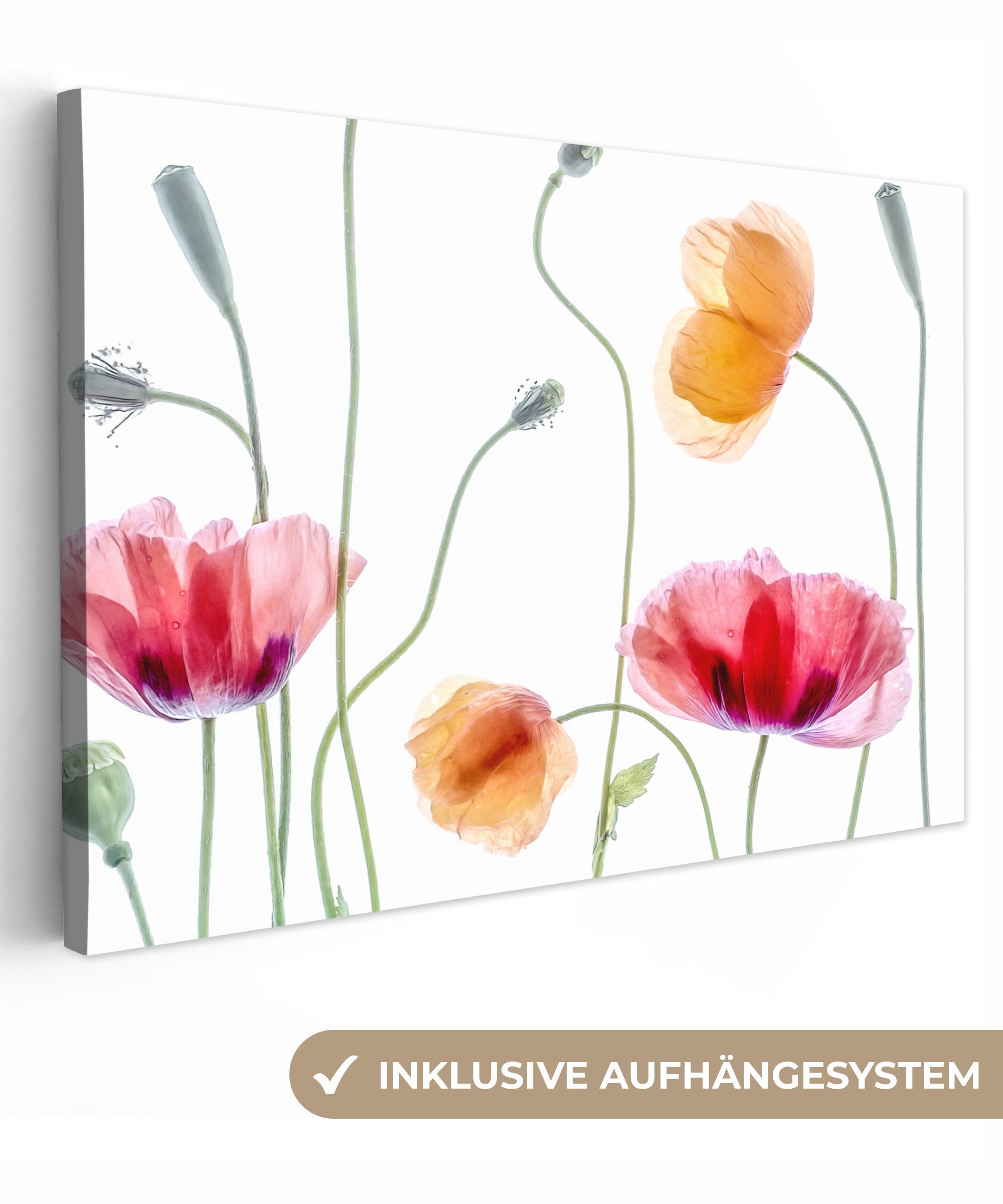 OneMillionCanvasses® Leinwandbild Mohn - Blumen - günstig online kaufen
