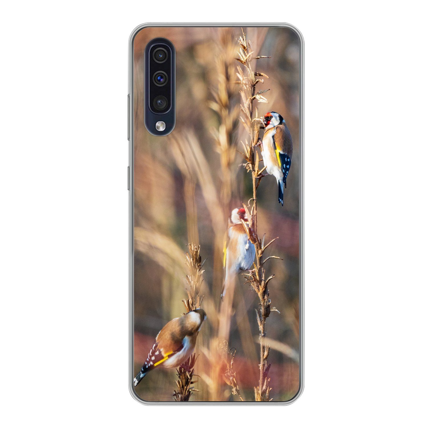Handyhülle für Samsung Galaxy A30s Vögel - Äste - Wald