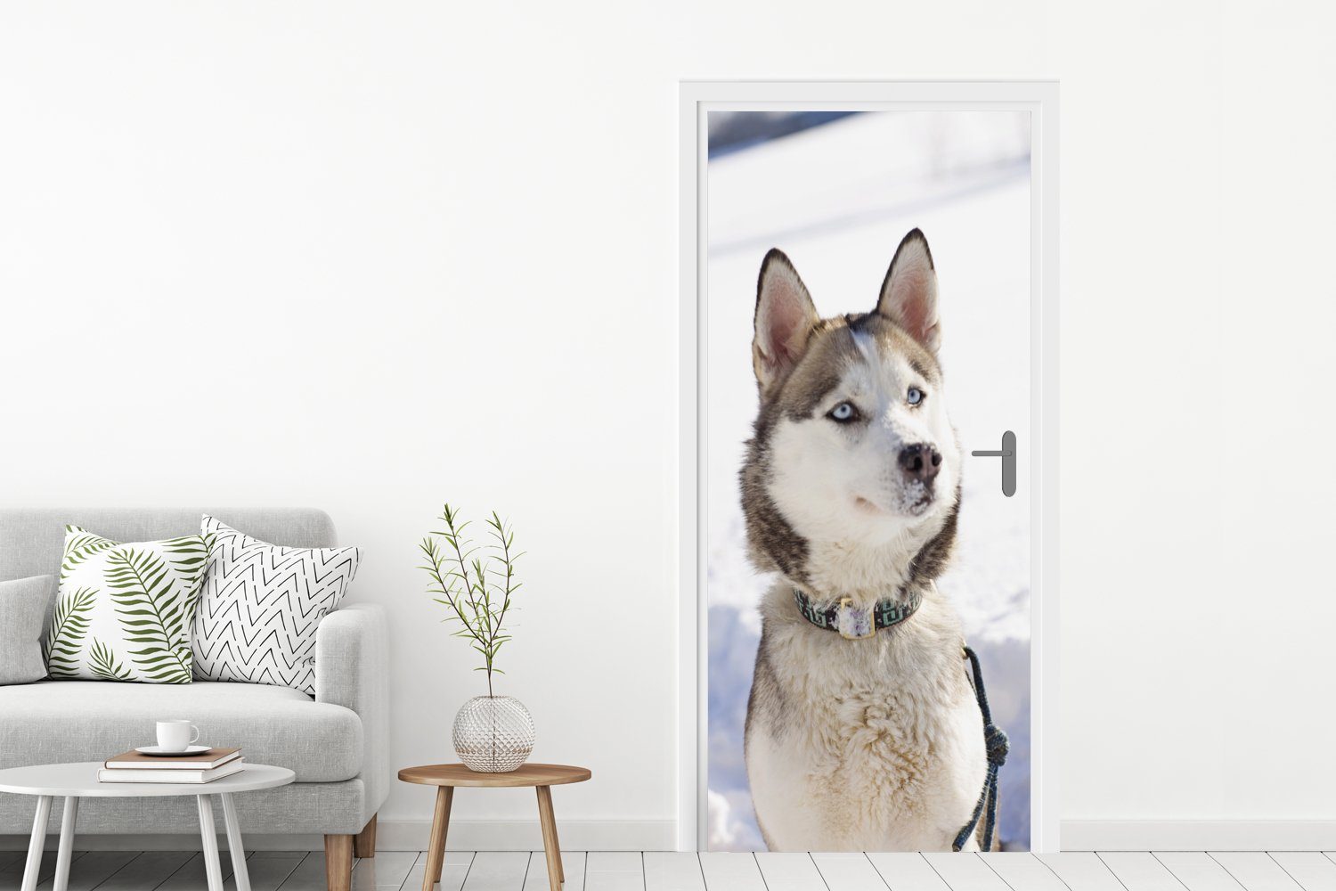 75x205 im Tür, cm (1 St), Fototapete Türaufkleber, Türtapete für Schlittenhund Sibirischer Matt, Schnee, MuchoWow bedruckt,