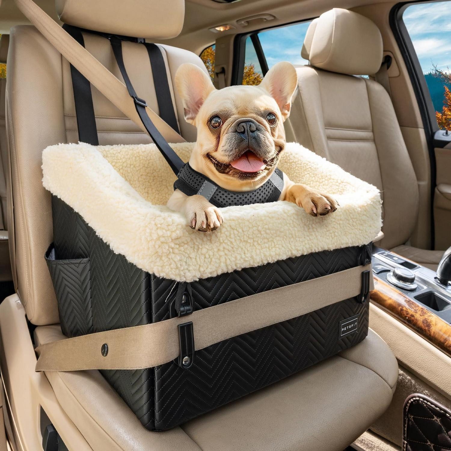LuxusKollektion Hunde-Autositz Hundeautositz Plüschbezug Schnallen Rückbank Beifahrersitz Schwarz