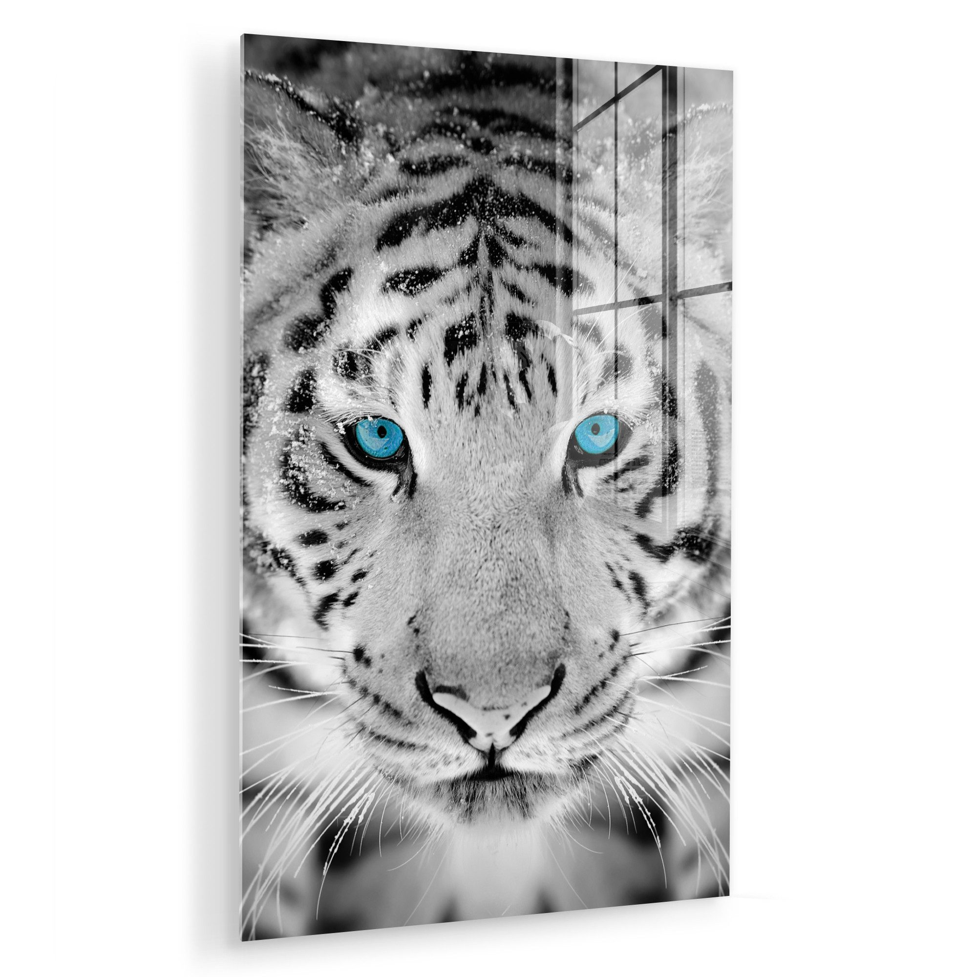 MuchoWow Acrylglasbild Tiere - Tiger - günstig online kaufen