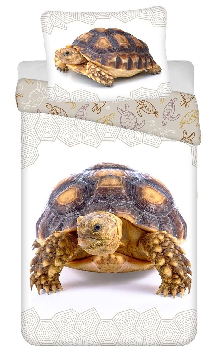 Jerry Fabrics Kinderbettwäsche Schildkröte, Renforcé, 2 teilig günstig online kaufen