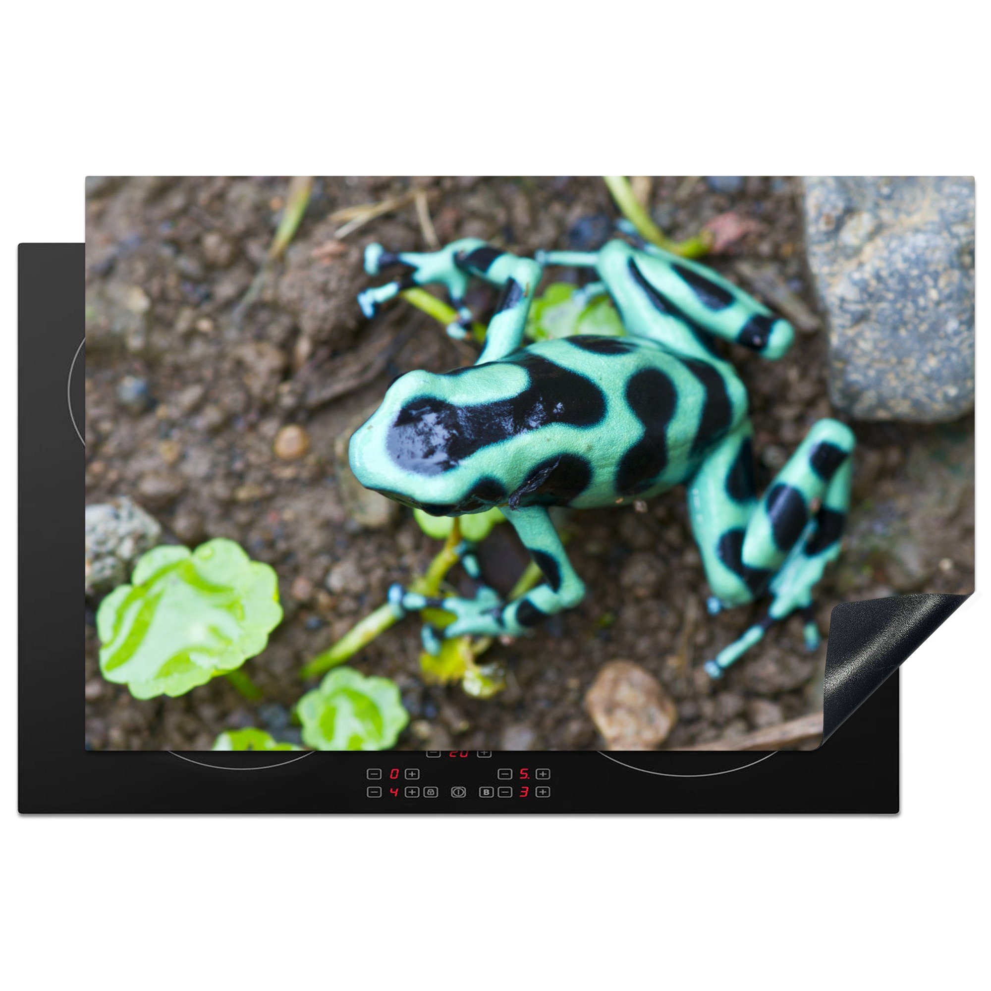 MuchoWow Herdblende-/Abdeckplatte Frosch mit grüner und schwarzer Farbe, Vinyl, (1 tlg), 81x52 cm, Induktionskochfeld Schutz für die küche, Ceranfeldabdeckung
