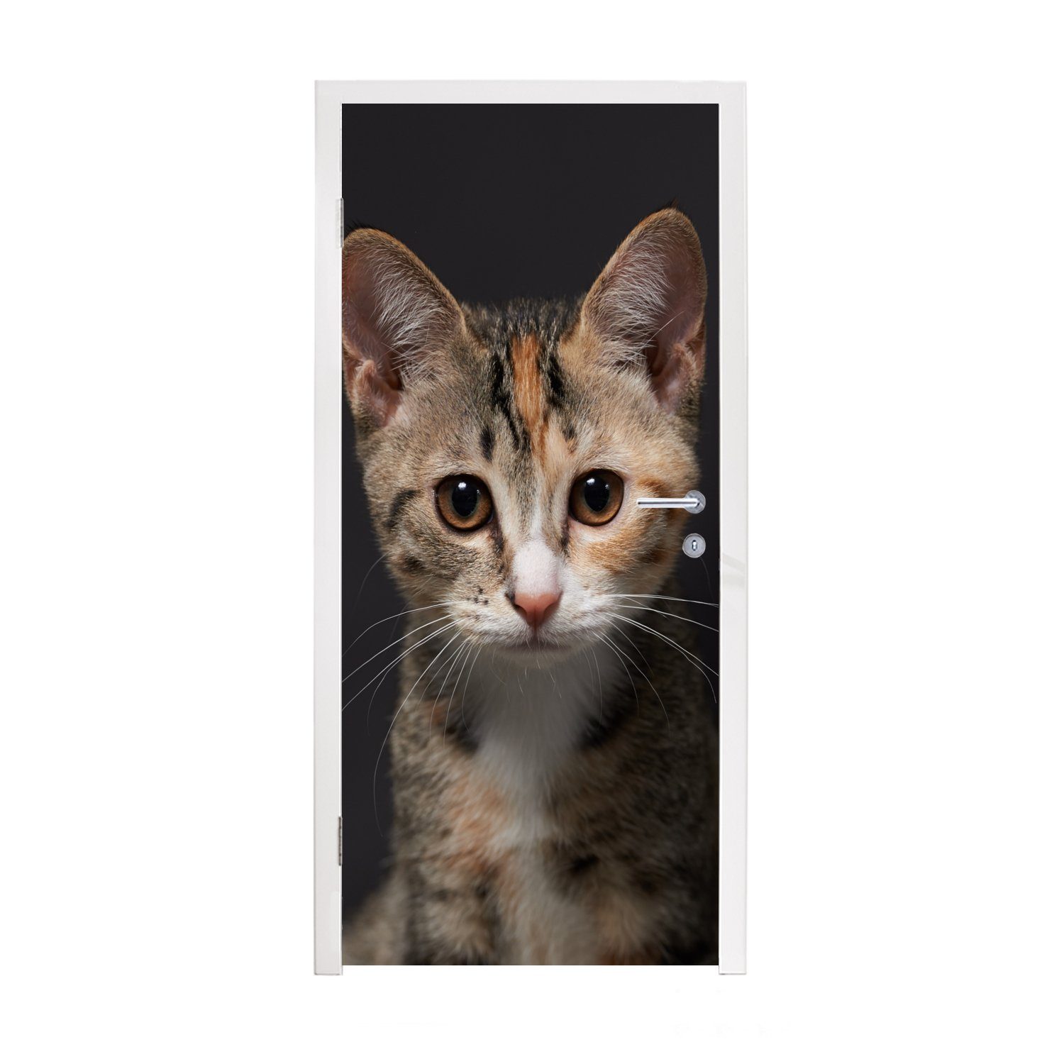 MuchoWow Türtapete Katze - Schwarz - Porträt, Matt, bedruckt, (1 St), Fototapete für Tür, Türaufkleber, 75x205 cm