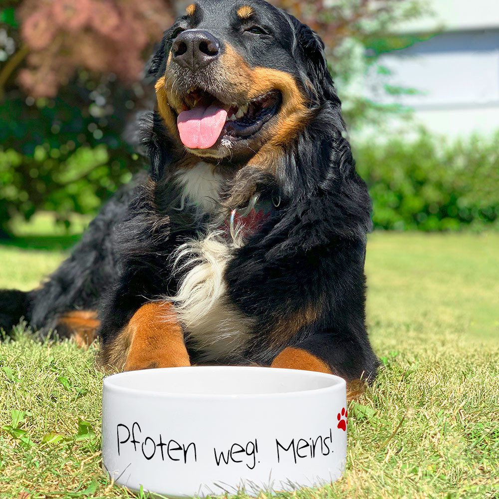 Cadouri Futternapf PFOTEN WEG! MEINS! Design-Hundenapf, Futterschüssel für Hunde, Keramik, lebensmittelechter, schwerer Napf mit Motiv, 1000 ml
