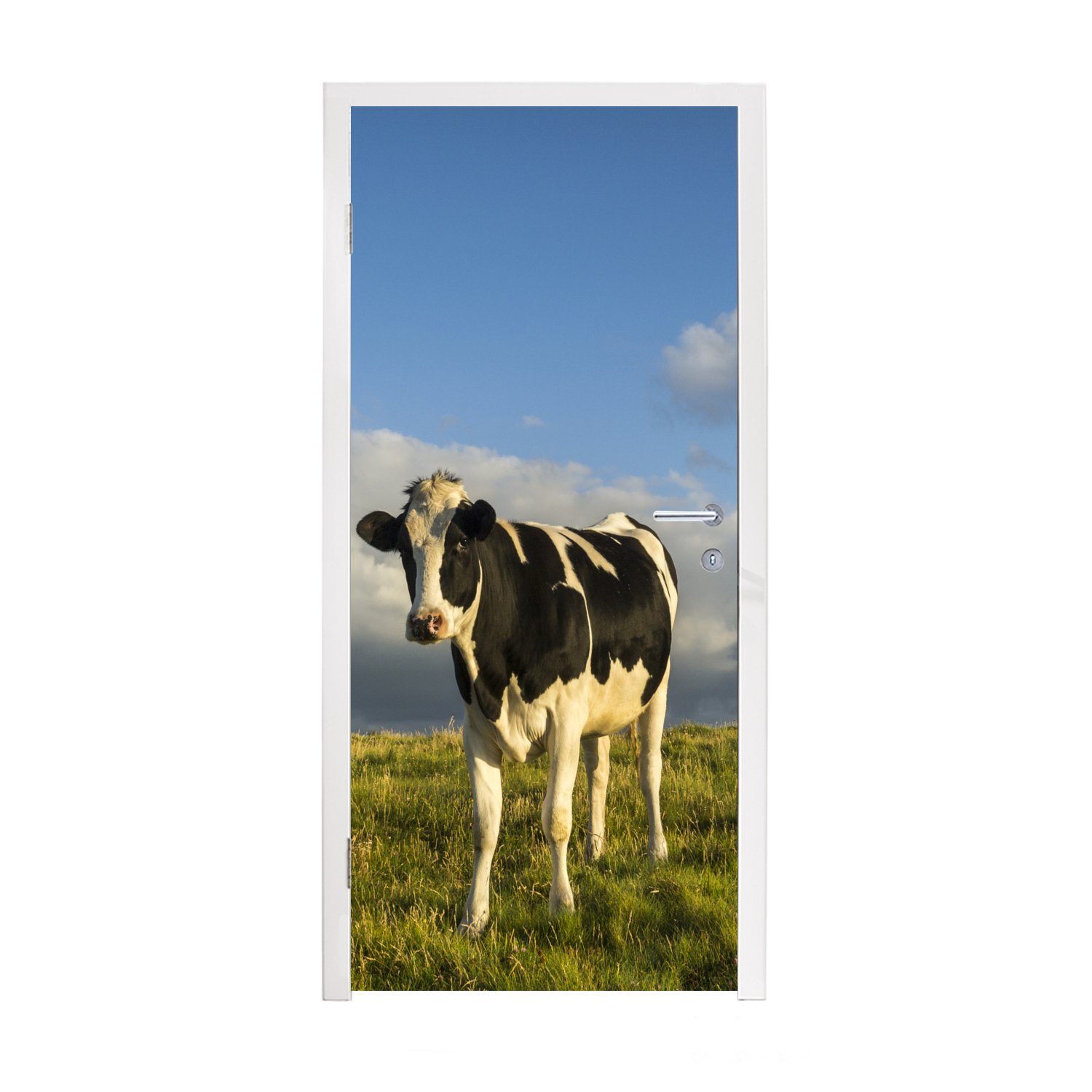MuchoWow Türtapete Kuh - Schwarz - Weiß - Gras, Matt, bedruckt, (1 St), Fototapete für Tür, Türaufkleber, 75x205 cm