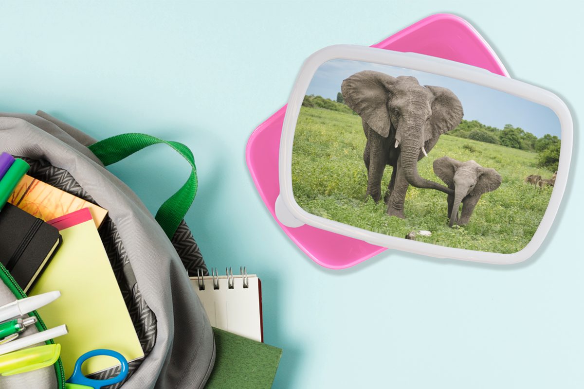 Snackbox, Mädchen, Kinder, Erwachsene, MuchoWow Brotbox - Lunchbox rosa für Kunststoff (2-tlg), Natur Brotdose Park, Kunststoff, Elefant -