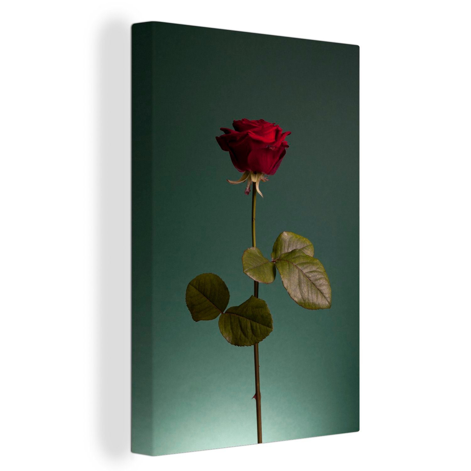 Rosen cm Rose Rot, St), (1 inkl. 20x30 Leinwandbild - OneMillionCanvasses® fertig - Gemälde, bespannt Leinwandbild Zackenaufhänger,