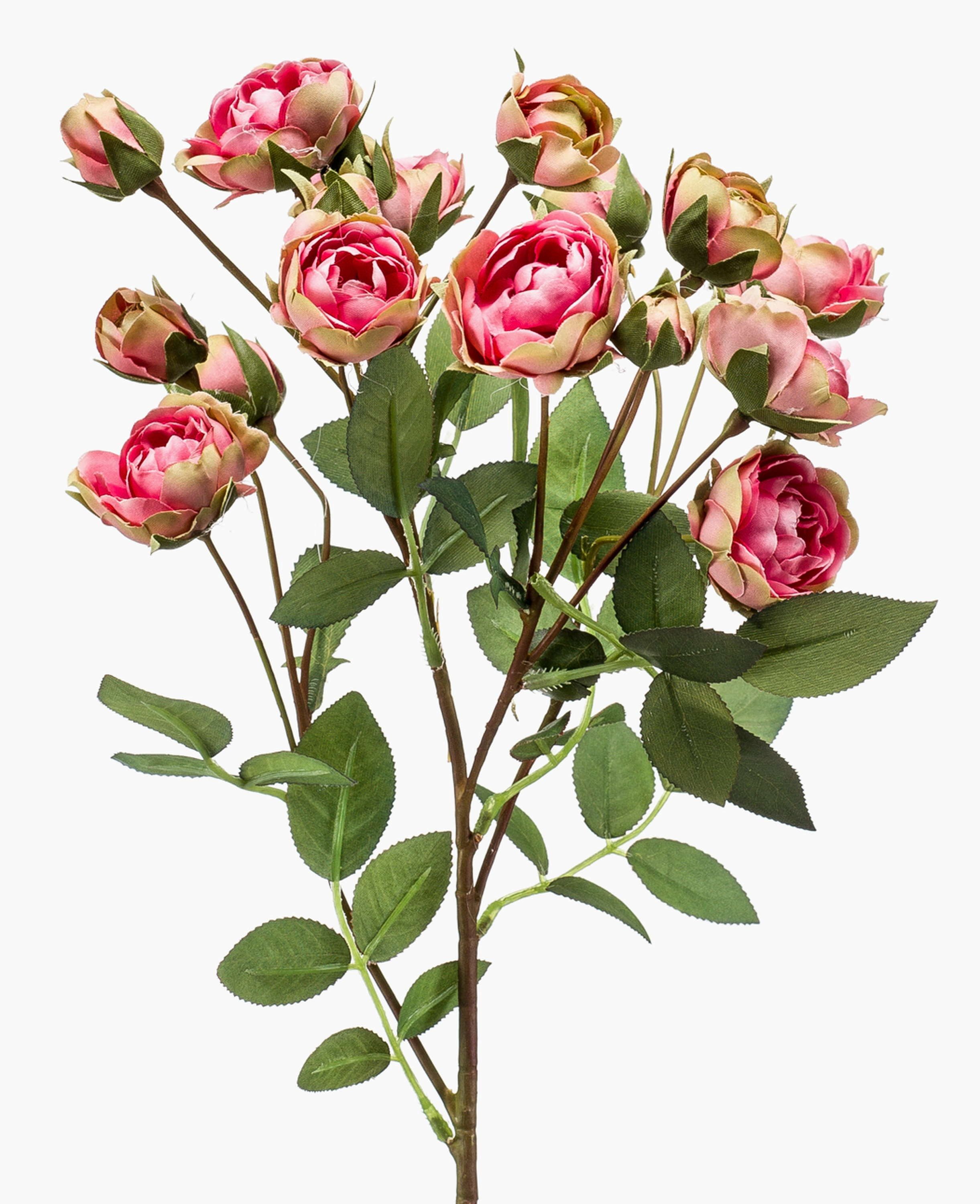 Kunstzweig Dekozweig Rosen TOSSA, pink-grün, 55cm Rose, artplants, Höhe 60.0 cm