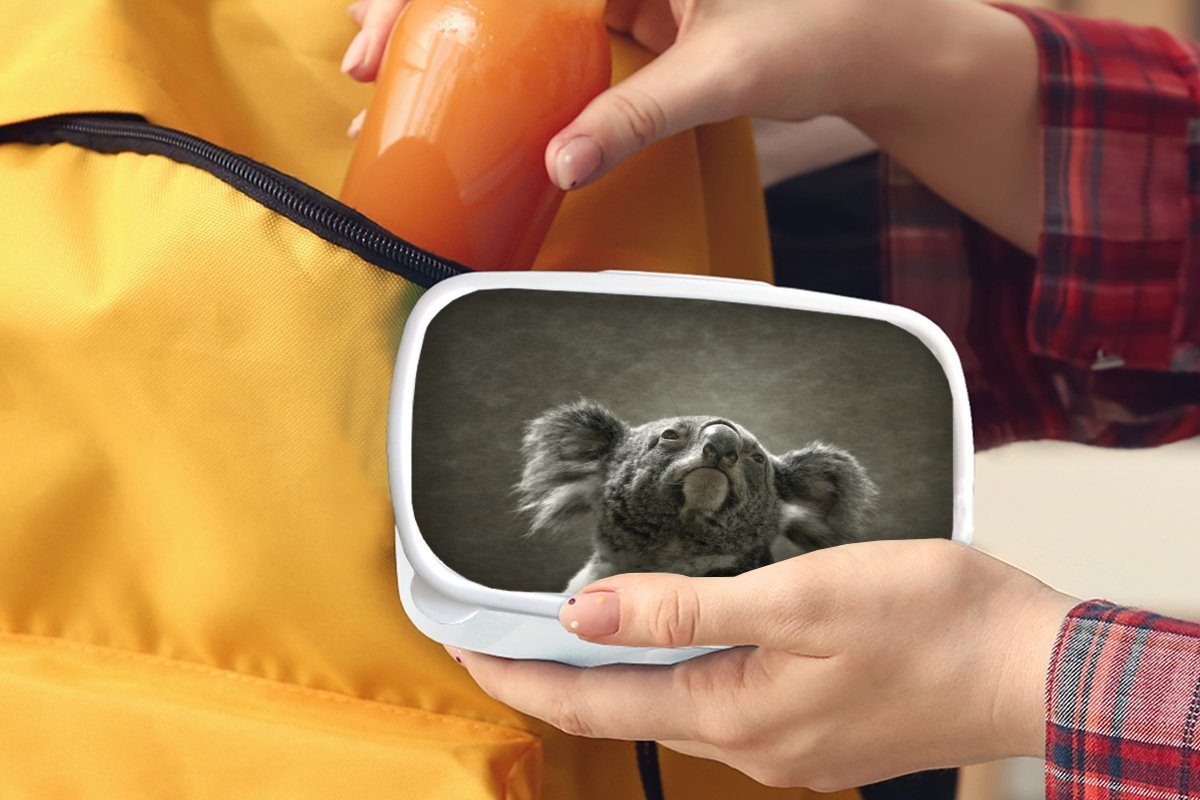 (2-tlg), Tiere und Brotbox - Erwachsene, Brotdose, - Koala Kontur, Kunststoff, Kinder für Mädchen und Lunchbox für Jungs MuchoWow weiß