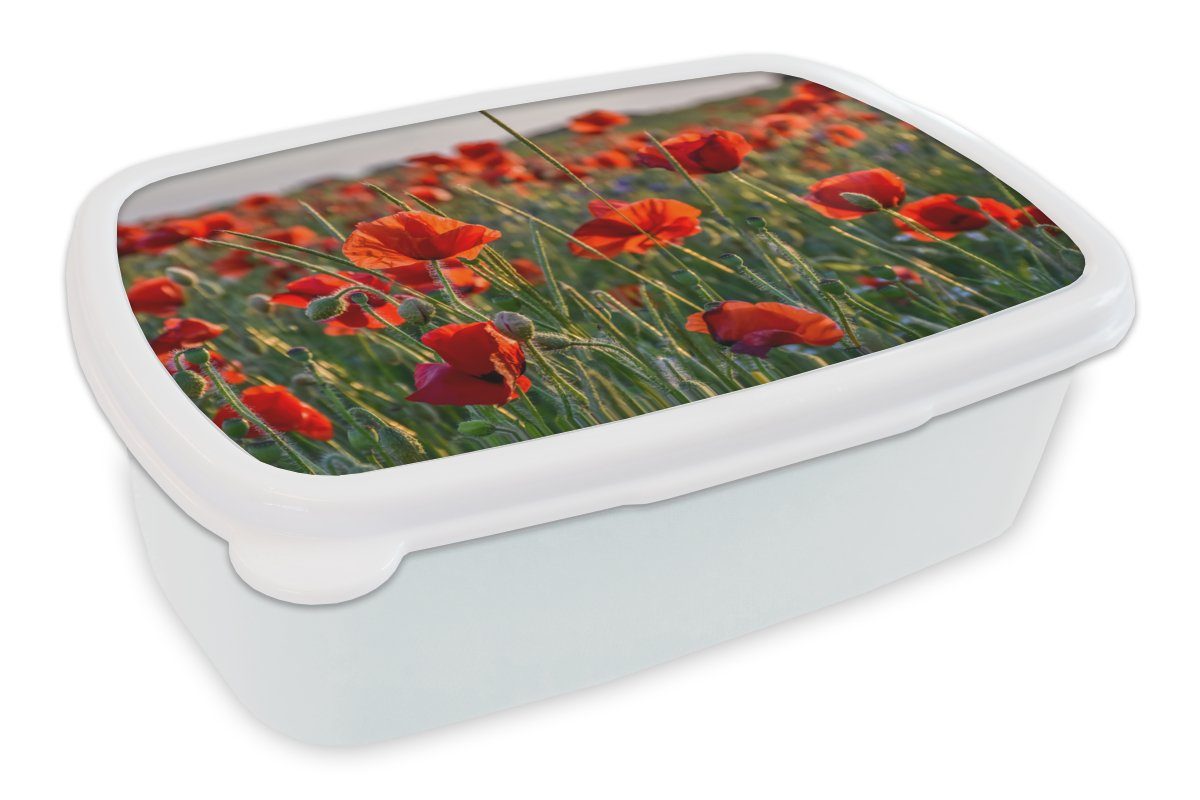 MuchoWow Lunchbox Blumen - Mohnblumen - Natur - Rot, Kunststoff, (2-tlg), Brotbox für Kinder und Erwachsene, Brotdose, für Jungs und Mädchen weiß