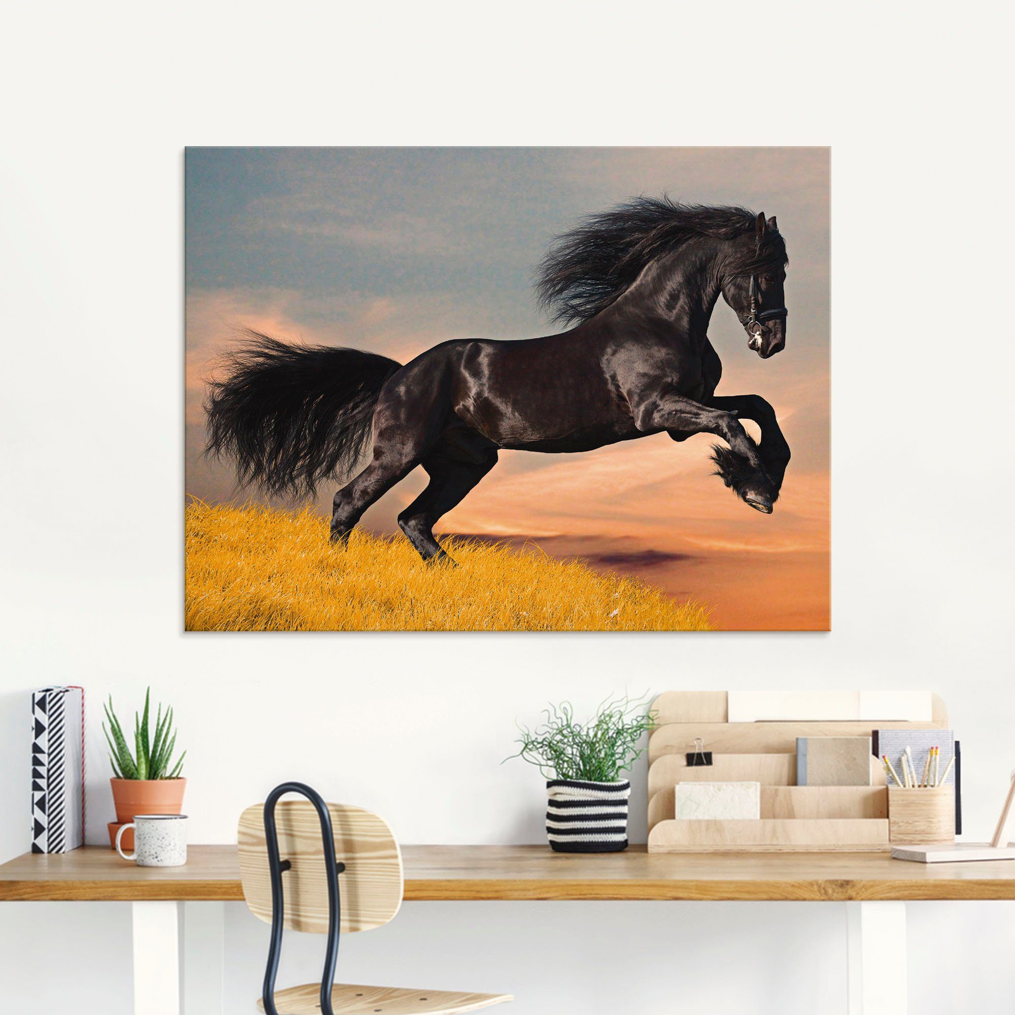 Artland Glasbild Friesischer Hengstgalopp, Haustiere (1 St), in verschiedenen Größen