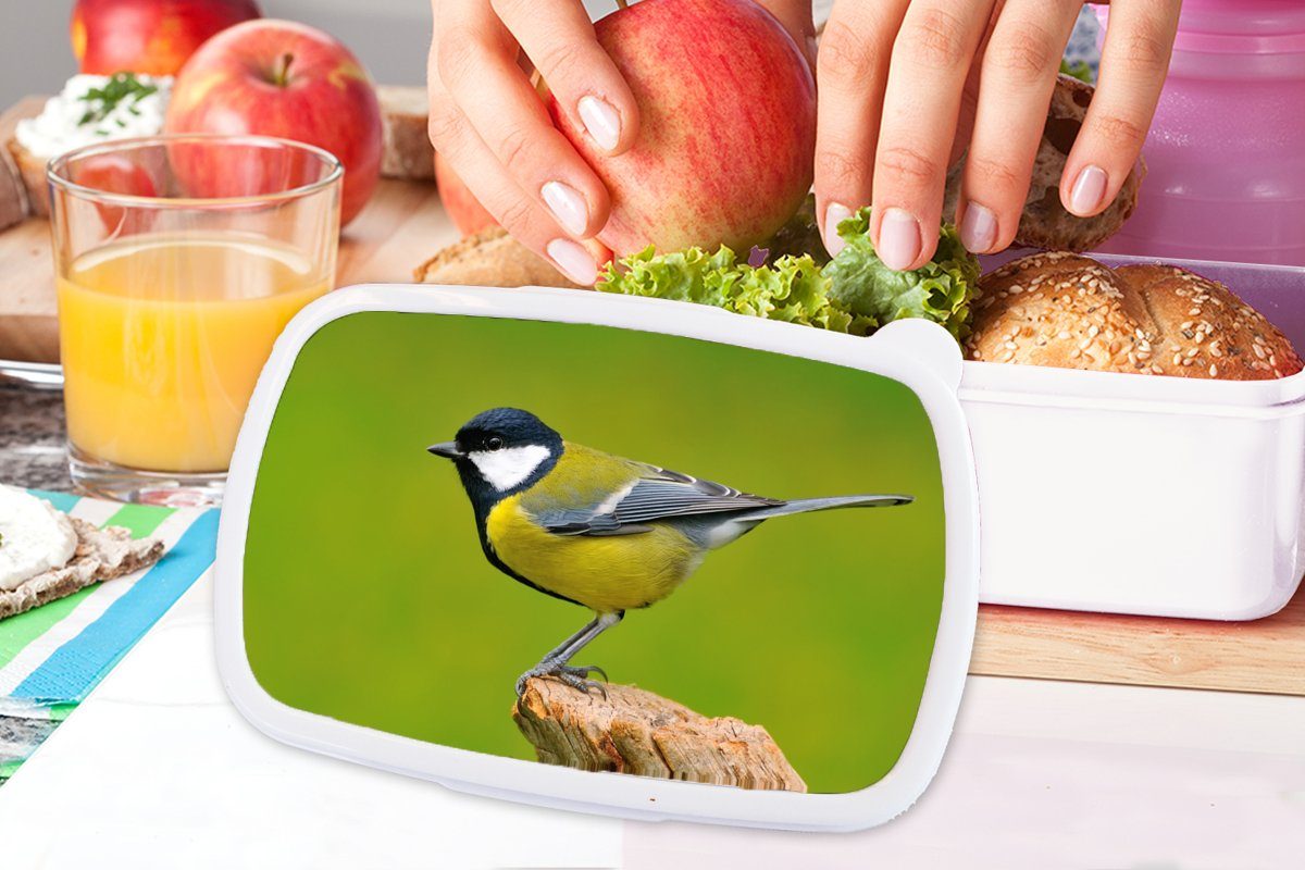 (2-tlg), Kunststoff, Brotdose, weiß - Brotbox für Jungs MuchoWow Vogel und Grün, Tiere Mädchen - und - Kinder Lunchbox für Erwachsene, Kohlmeise