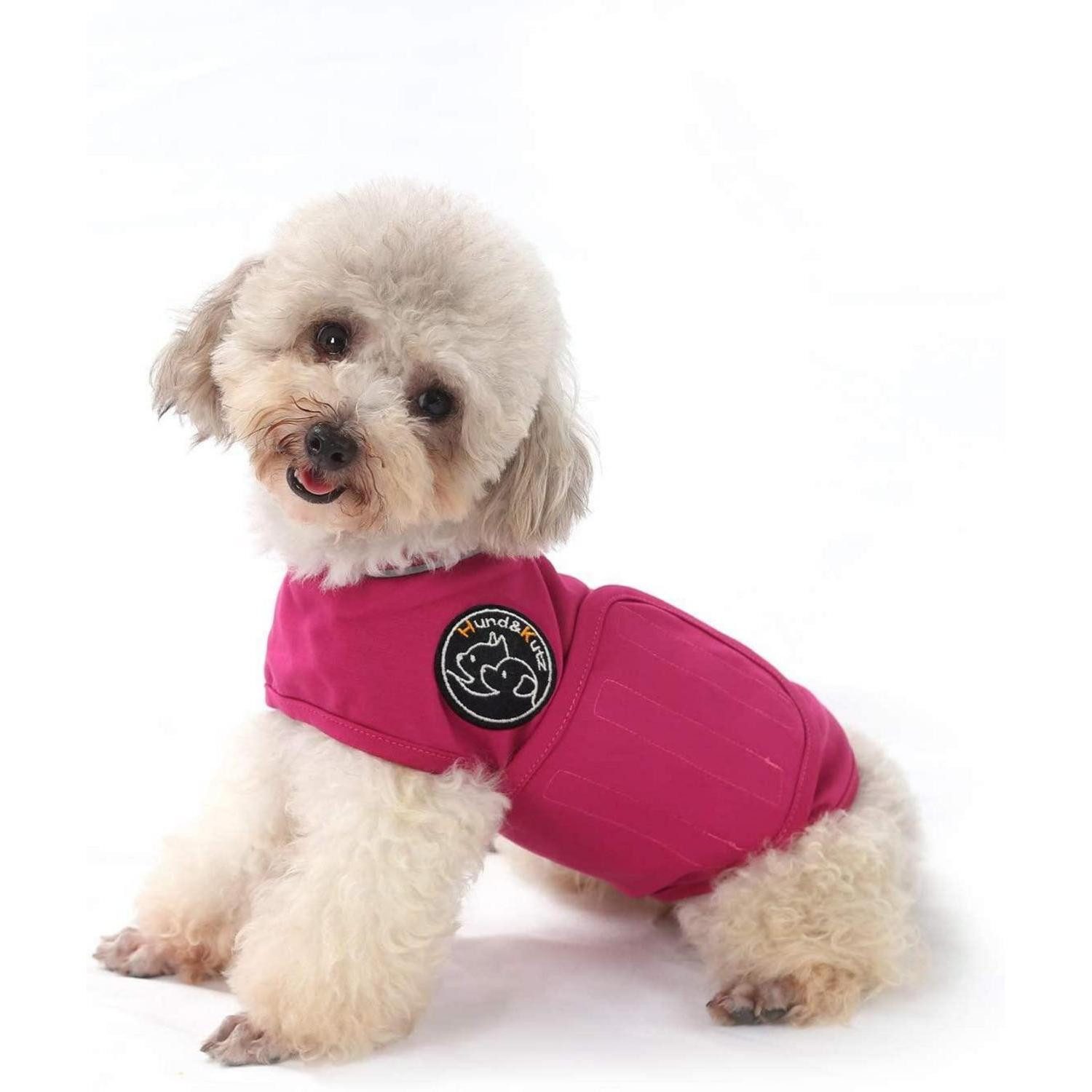 LuxusKollektion Hundemantel Hundemantel Angst Rose rot XS