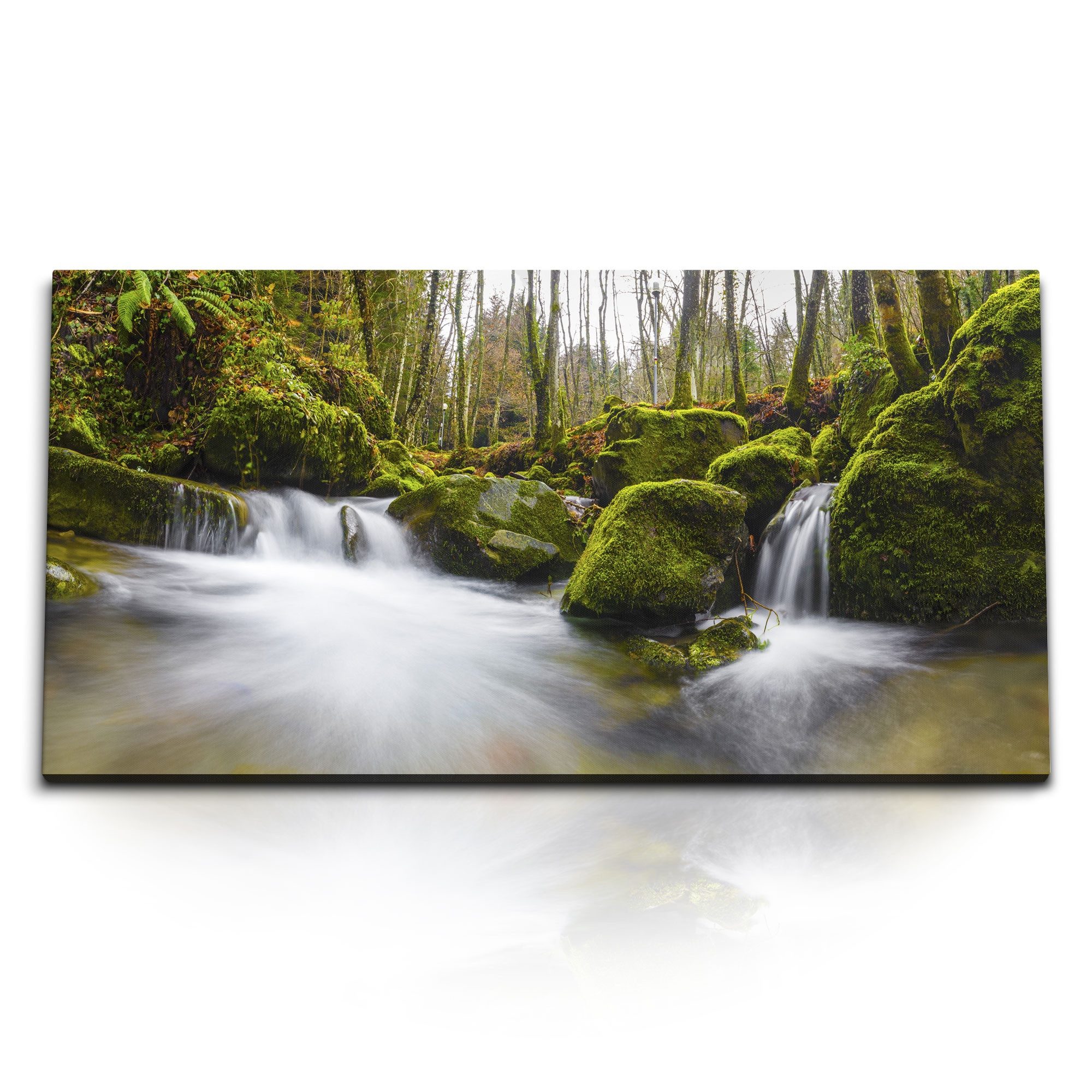 Leinwandbild Kunstdruck Bilder 120x60cm Bach Wald Wasserfall Grün Moos Natur