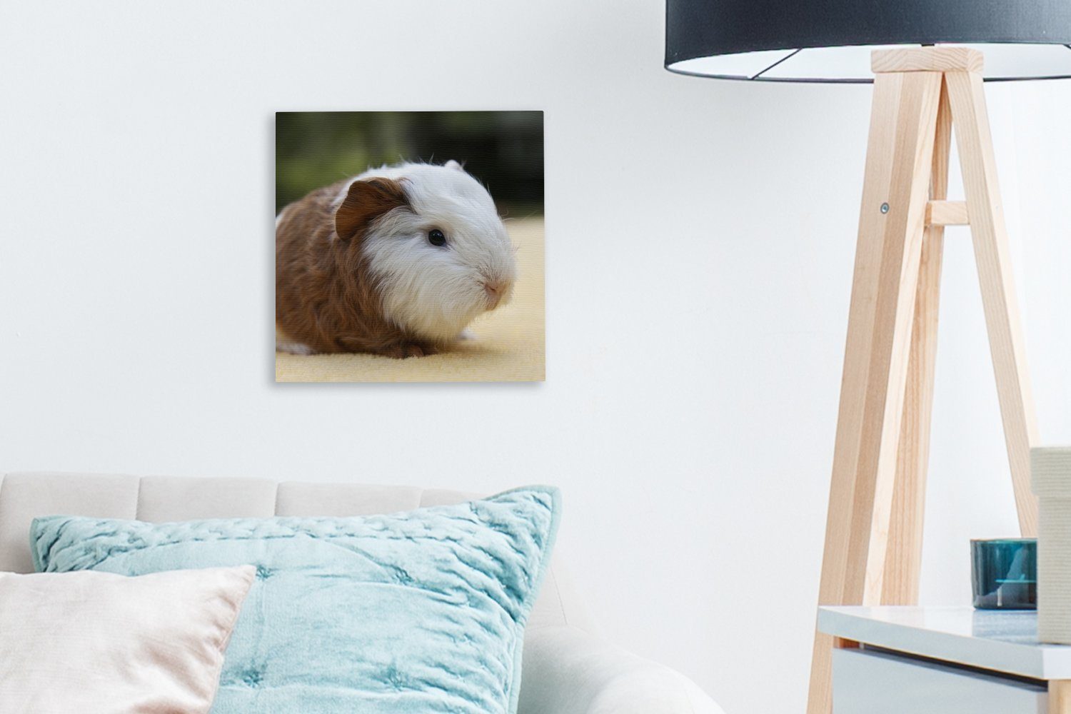 Bilder Schlafzimmer Junges OneMillionCanvasses® Wohnzimmer für (1 Leinwand St), Meerschweinchen, Leinwandbild