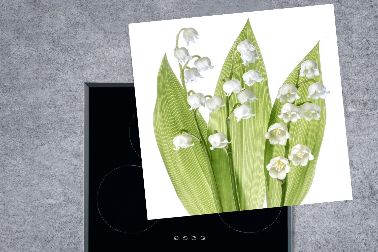 tlg), Vinyl, Herdblende-/Abdeckplatte Ceranfeldabdeckung, der für der Ein Blüten Arbeitsplatte Porträt küche Lilie weißen von (1 MuchoWow cm, 78x78 Dalen,