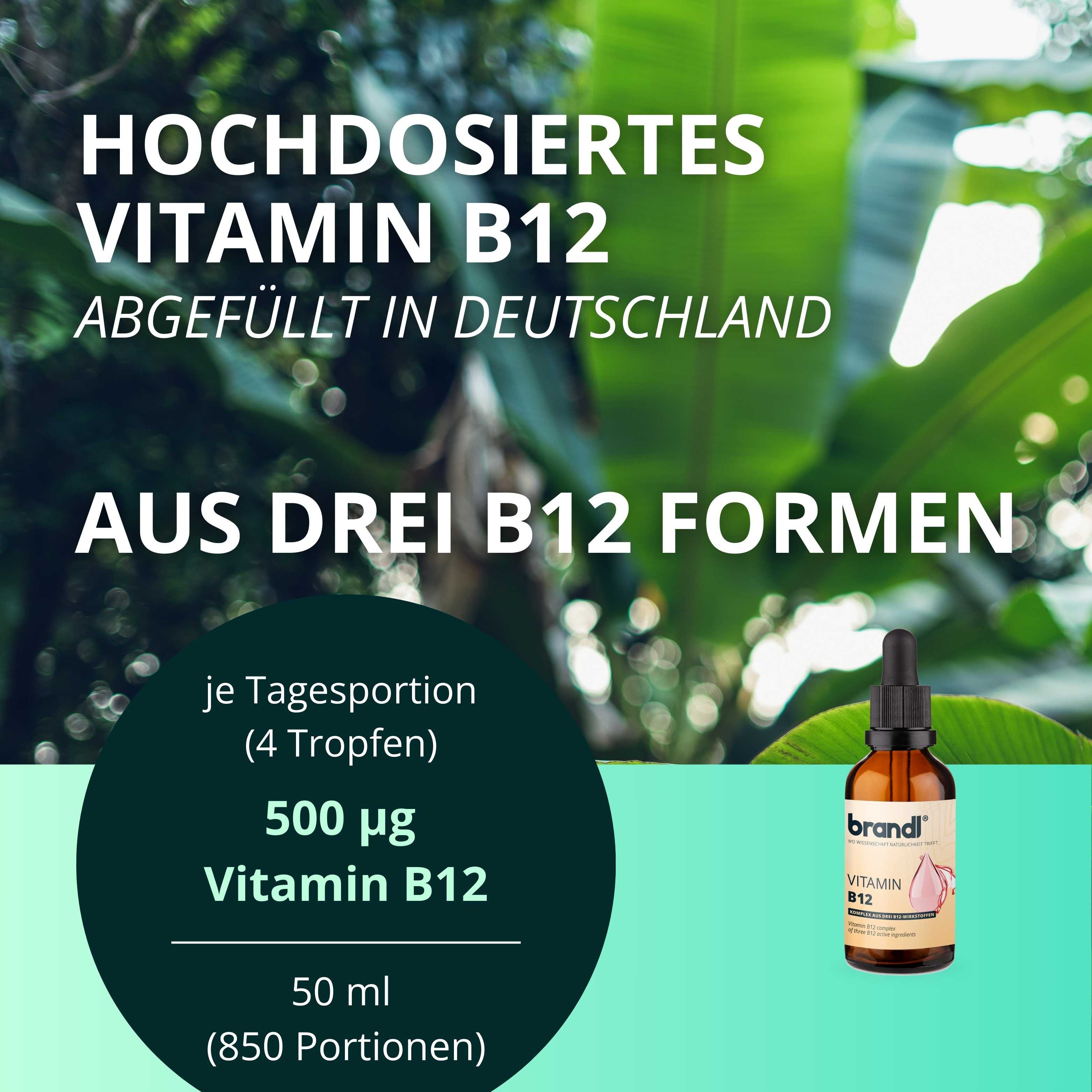Brandl Nutrition B12 Vitamin Tropfen hochdosiert - 3 Aktivformen für Bioverfügbarkeit Flüßigkeit, Vegan & alkoholfrei mit pflanzlichem Glycerin ohne Zusatzstoffe