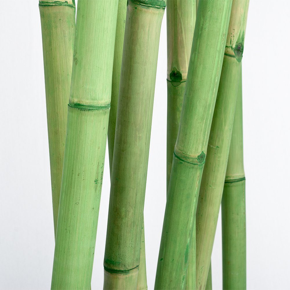 97x200cm Bambus PARAVENTO Raumteiler LebensWohnArt (BxH) Paravent ca. Grün