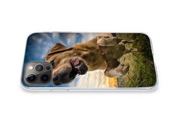MuchoWow Handyhülle Bunter Himmel über diesem Labrador Retriever, Handyhülle Apple iPhone 12 Pro, Smartphone-Bumper, Print, Handy