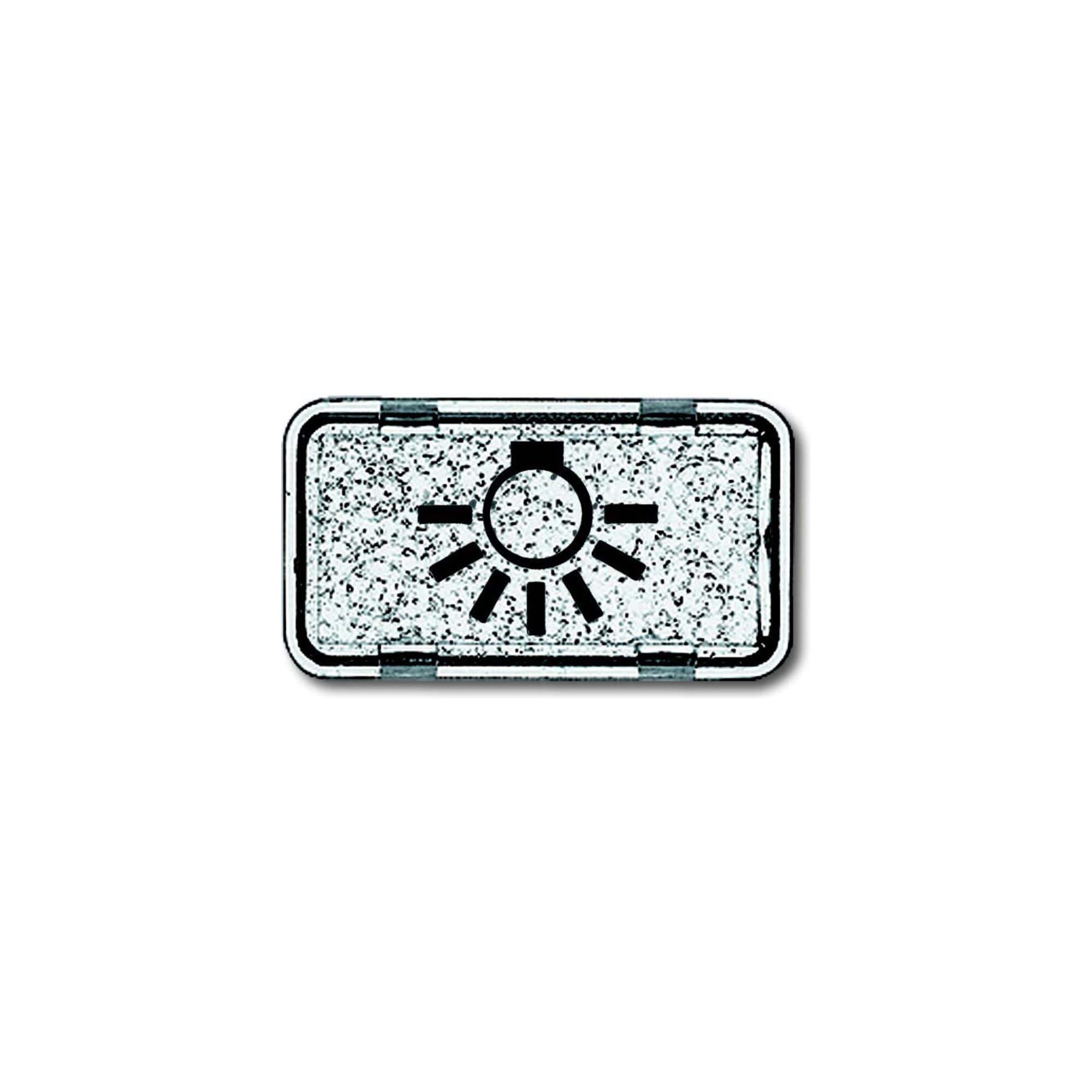 Busch-Jaeger Busch-Jaeger Tastersymbol Licht 2622 LI-101 Steckdosenleiste