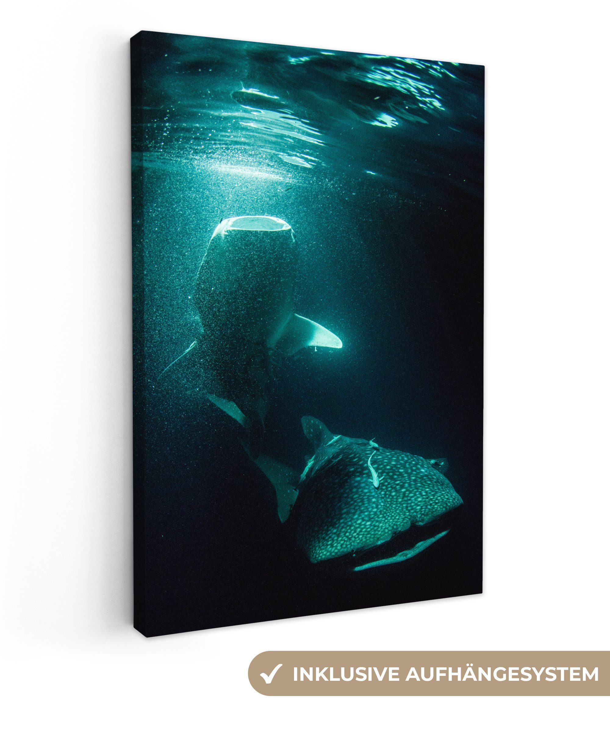 OneMillionCanvasses® Leinwandbild Ein Walhai im grünen Licht, (1 St), Leinwandbild fertig bespannt inkl. Zackenaufhänger, Gemälde, 20x30 cm