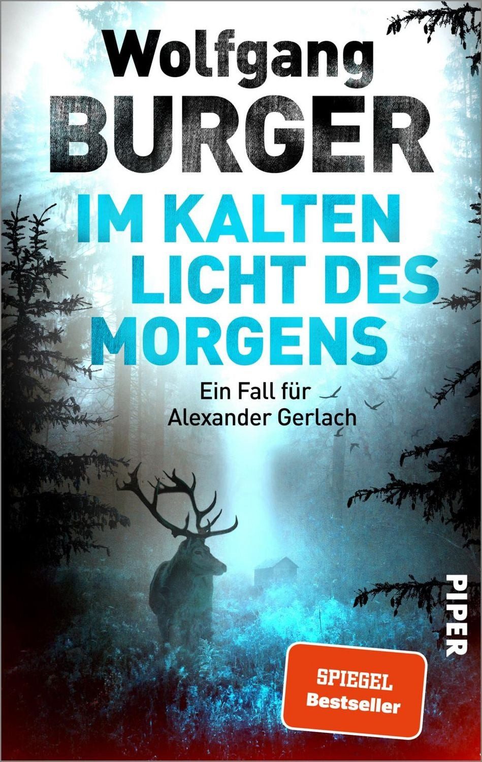 Im kalten Licht des Morgens / Wolfgang Burger
