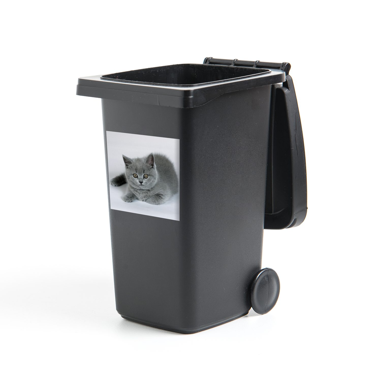 MuchoWow Wandsticker Anzeige eines wunderschönen Britisch-Kurzhaar-Kätzchens (1 St), Mülleimer-aufkleber, Mülltonne, Sticker, Container, Abfalbehälter