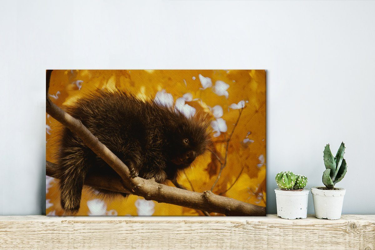 30x20 Stachelschwein gelbe Wandbild St), Wanddeko, für cm OneMillionCanvasses® Blätter, Aufhängefertig, (1 Leinwandbilder, Leinwandbild