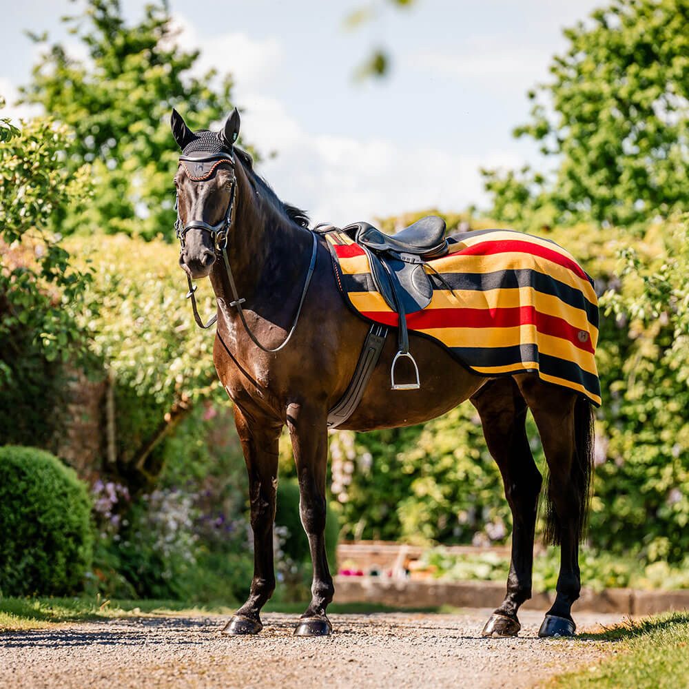 Horseware Ausreitdecke Horseware Newmarket Exercise Sheet