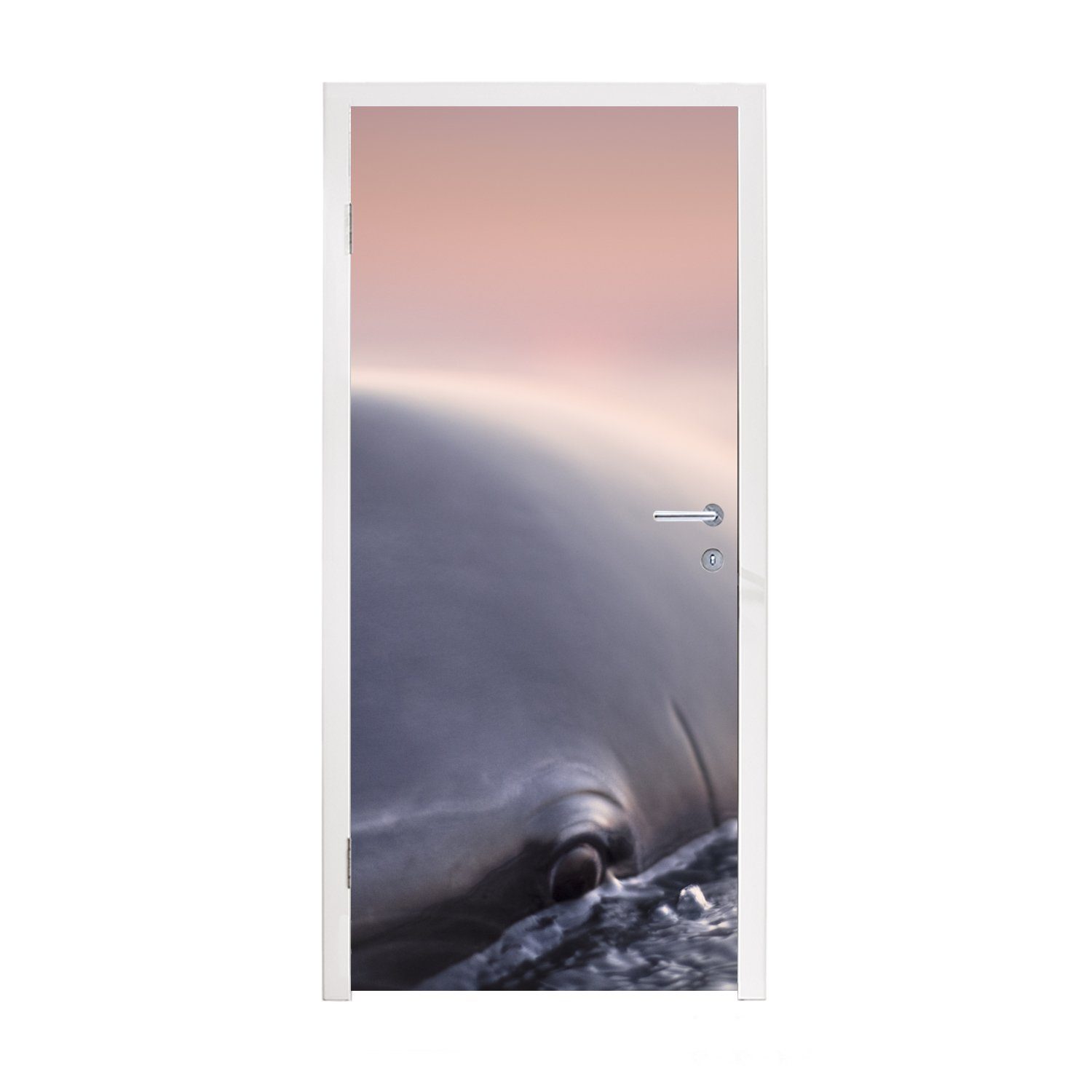 MuchoWow Türtapete Delfin - Wasser - Nahaufnahme, Matt, bedruckt, (1 St), Fototapete für Tür, Türaufkleber, 75x205 cm