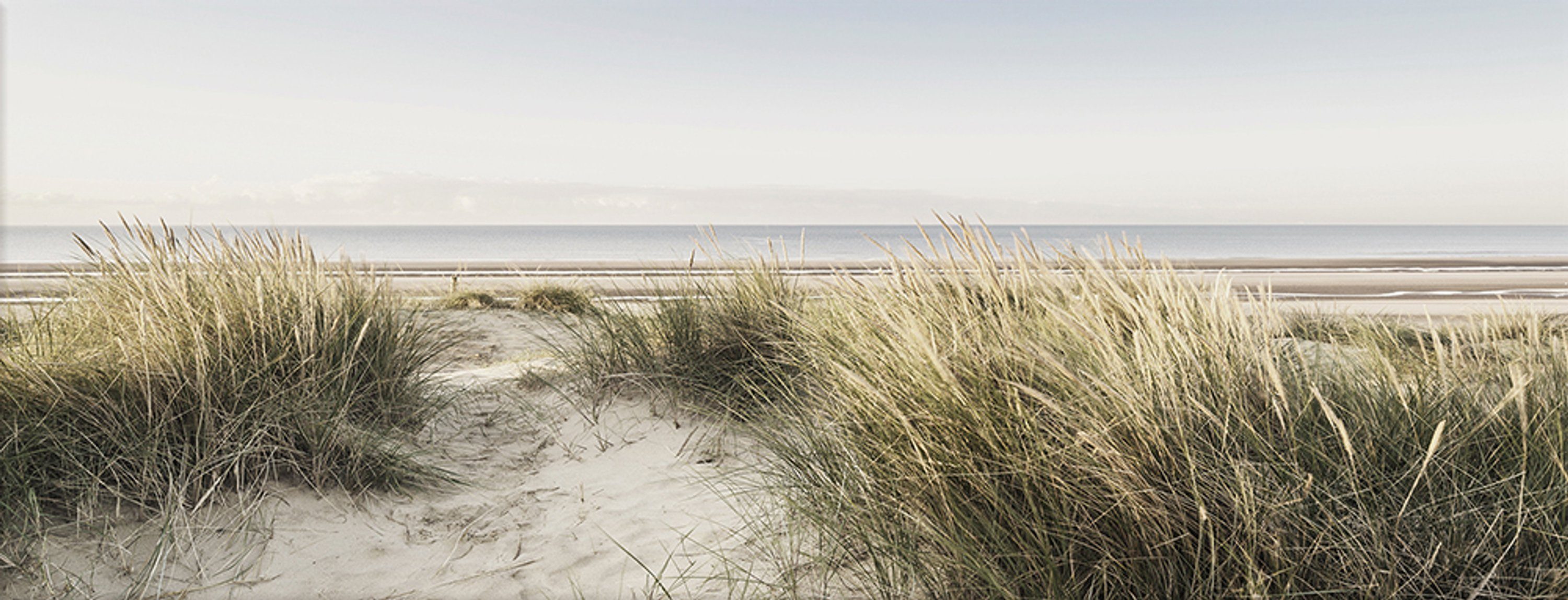 Dünen Meer aus Glasbild Nordsee: Strand-Gräser, Wandbild Wohnzimmer Bild 80x30cm Glas Glasbild Landschaft artissimo