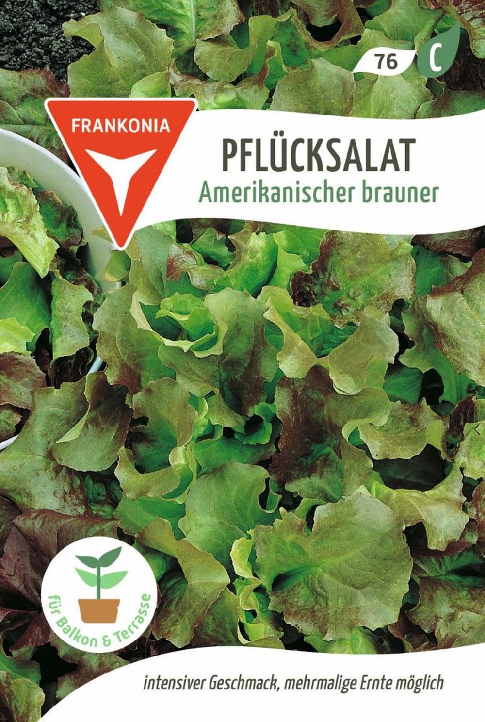 FRANKONIA Gemüsesamen Pflücksalat, Amerikanischer brauner - Saatgut Salat-Samen Samen, Lactuca sativa