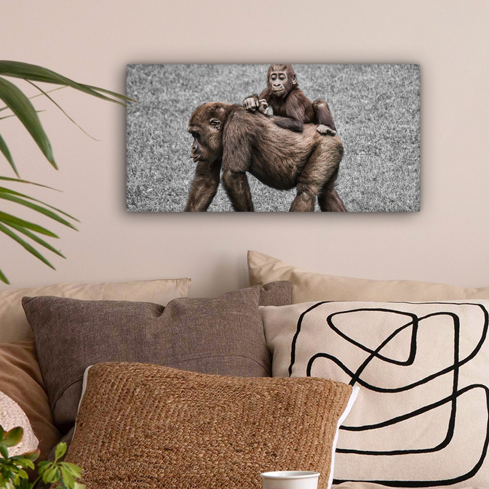 OneMillionCanvasses® Leinwandbild Panorama Affen - Landschaft günstig online kaufen
