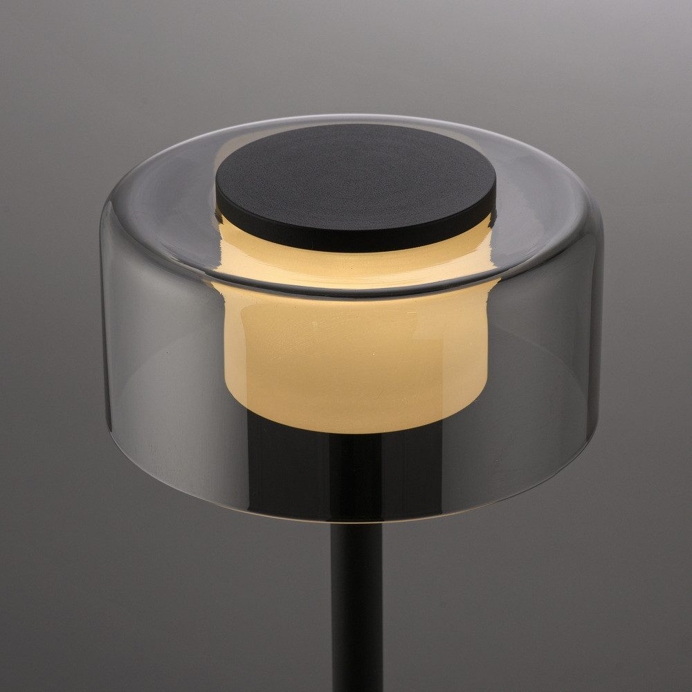 Paul Neuhaus LED Tischleuchte LED Tischlampe RIKA, dimmbar, Memoryfunktion, 1xLED-Board/7,50W/3000K, stufenlos dimmbar, schwarze Lackierung mit Rauchglas