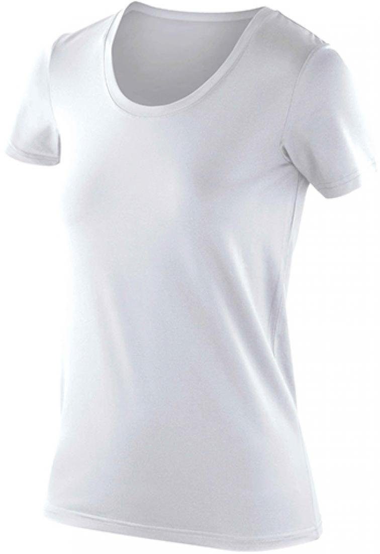 SPIRO Trainingsshirt Damen Impact Softex® T-Shirt günstig online kaufen