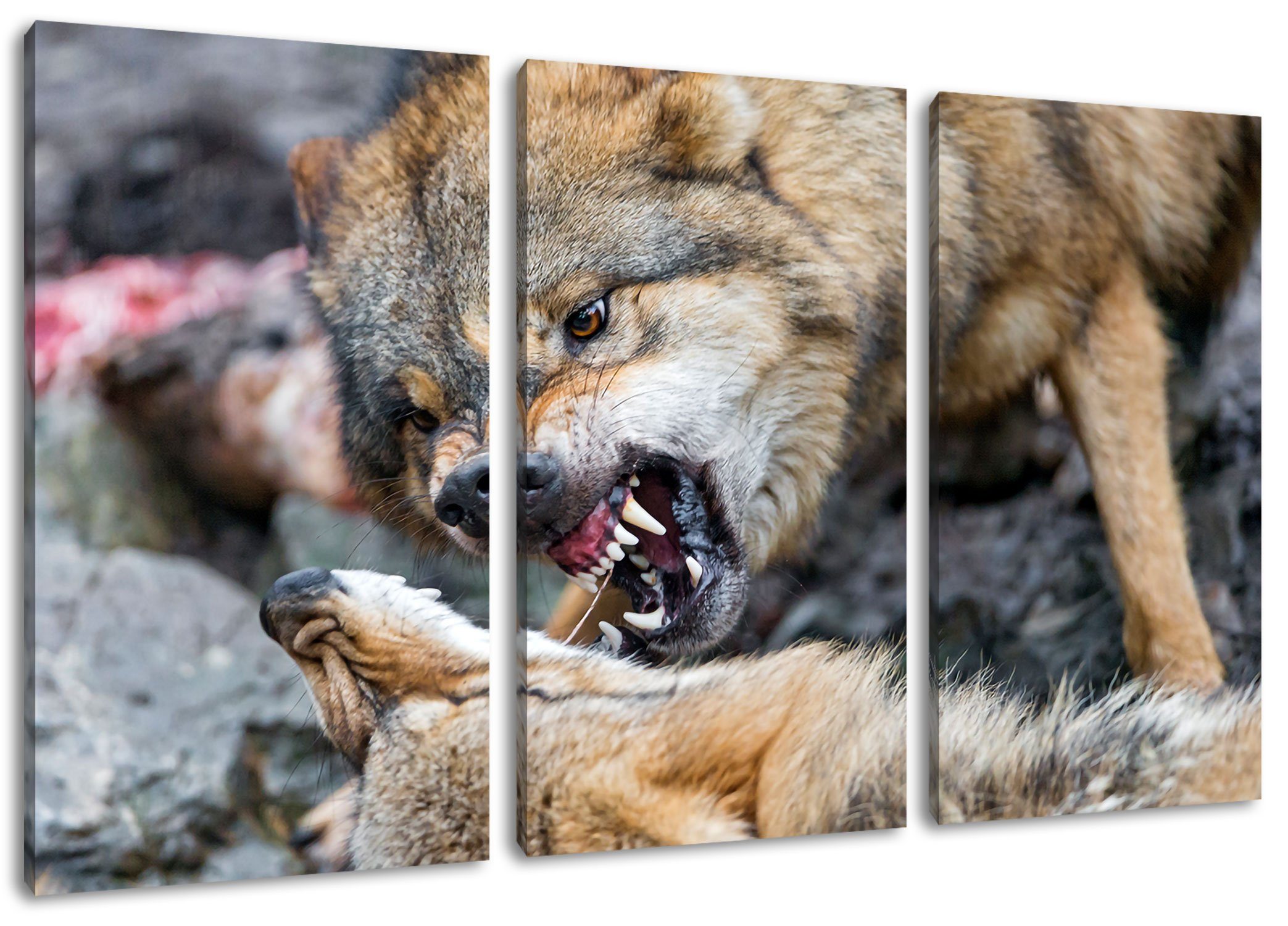 Pixxprint Leinwandbild kämpfende Wölfe, kämpfende Wölfe 3Teiler (120x80cm) (1 St), Leinwandbild fertig bespannt, inkl. Zackenaufhänger