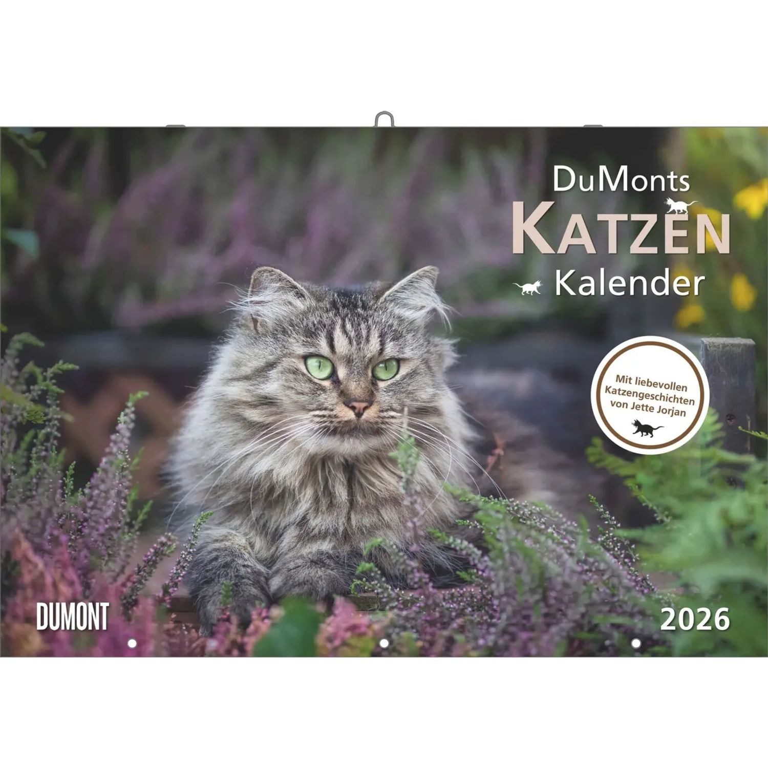 DUMONT Wandkalender DUMONT - Katzenkalender 2026 - Broschürenkalender 42 x 29 cm mit 12...