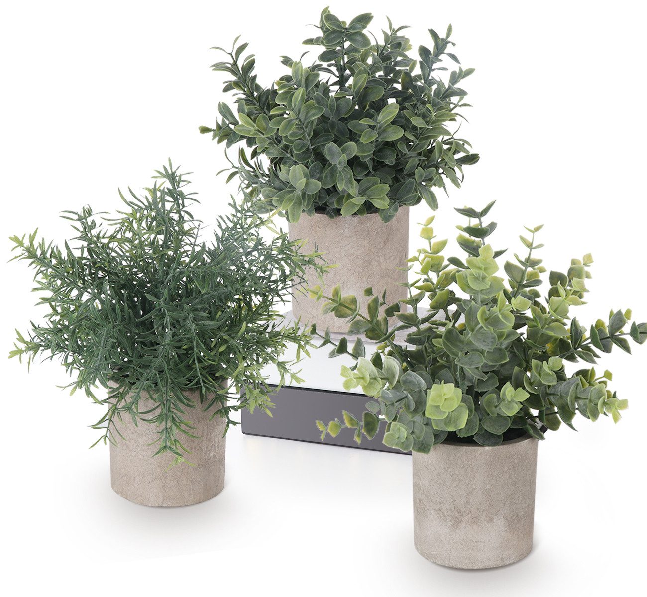 Künstliche Zimmerpflanze 5 Stück Mini Kunstpflanzen mit Töpfen Eukalyptus R günstig online kaufen