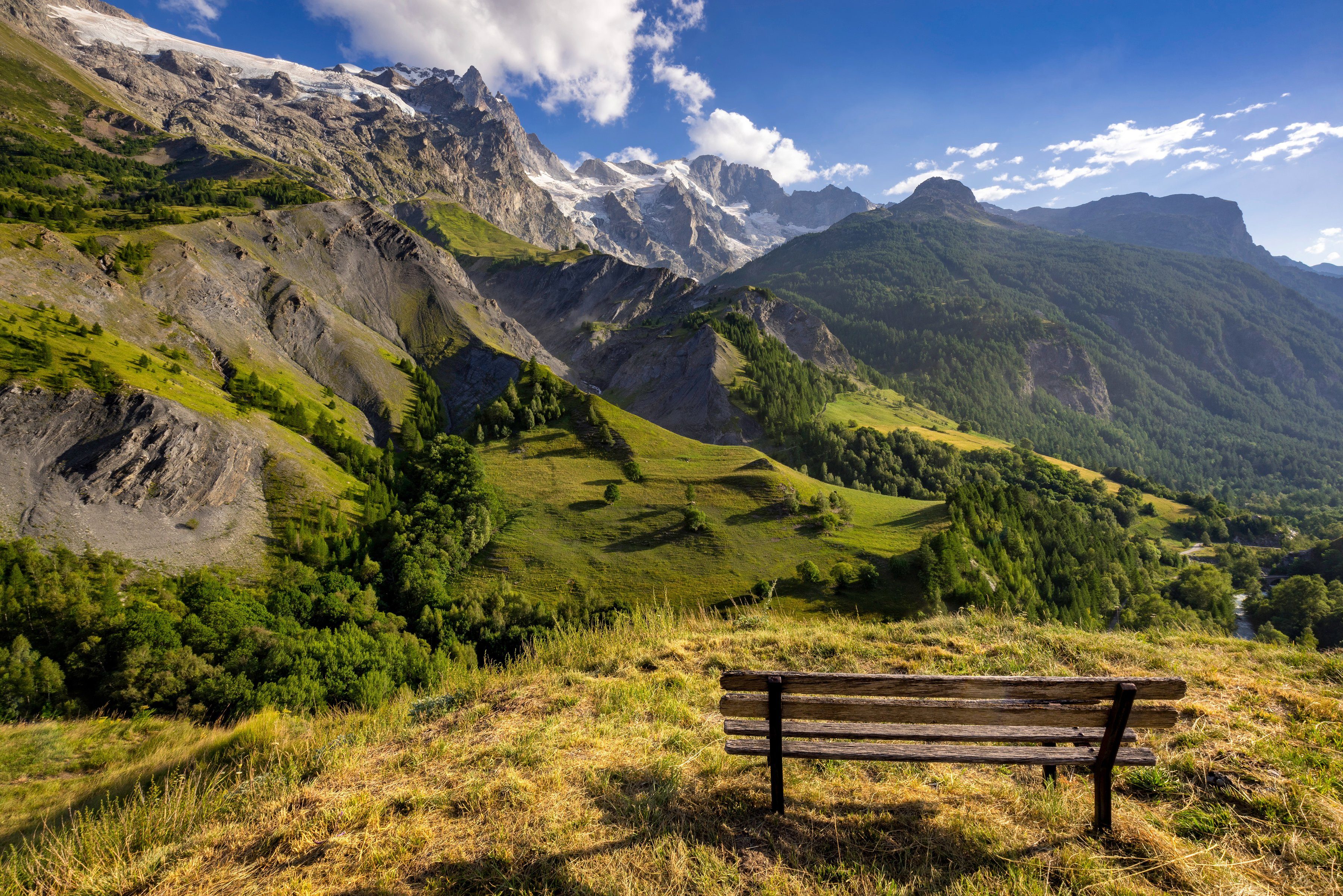 WALD LANDSCHAFT Fototapete TAPETE ALPEN BERGE-NATUR BÄUME Papermoon GEBIRGE