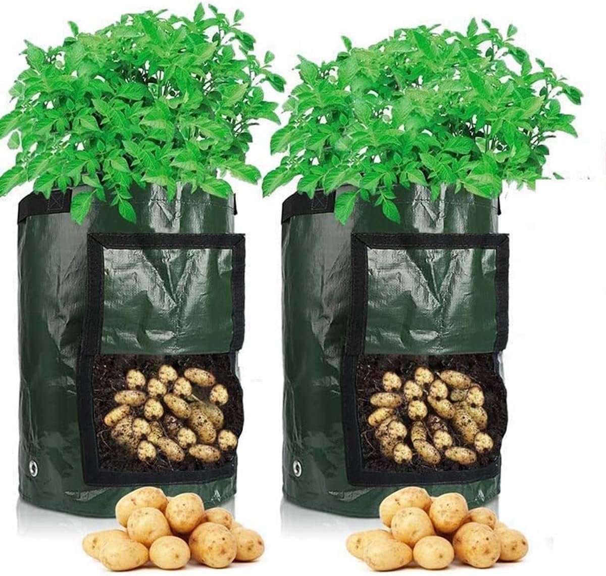 ZanMax Pflanzkübel 2 10-Gallonen-Gemüsesäcke, 35 x 45 cm, strapazierfähiges Gewebe (2 St)
