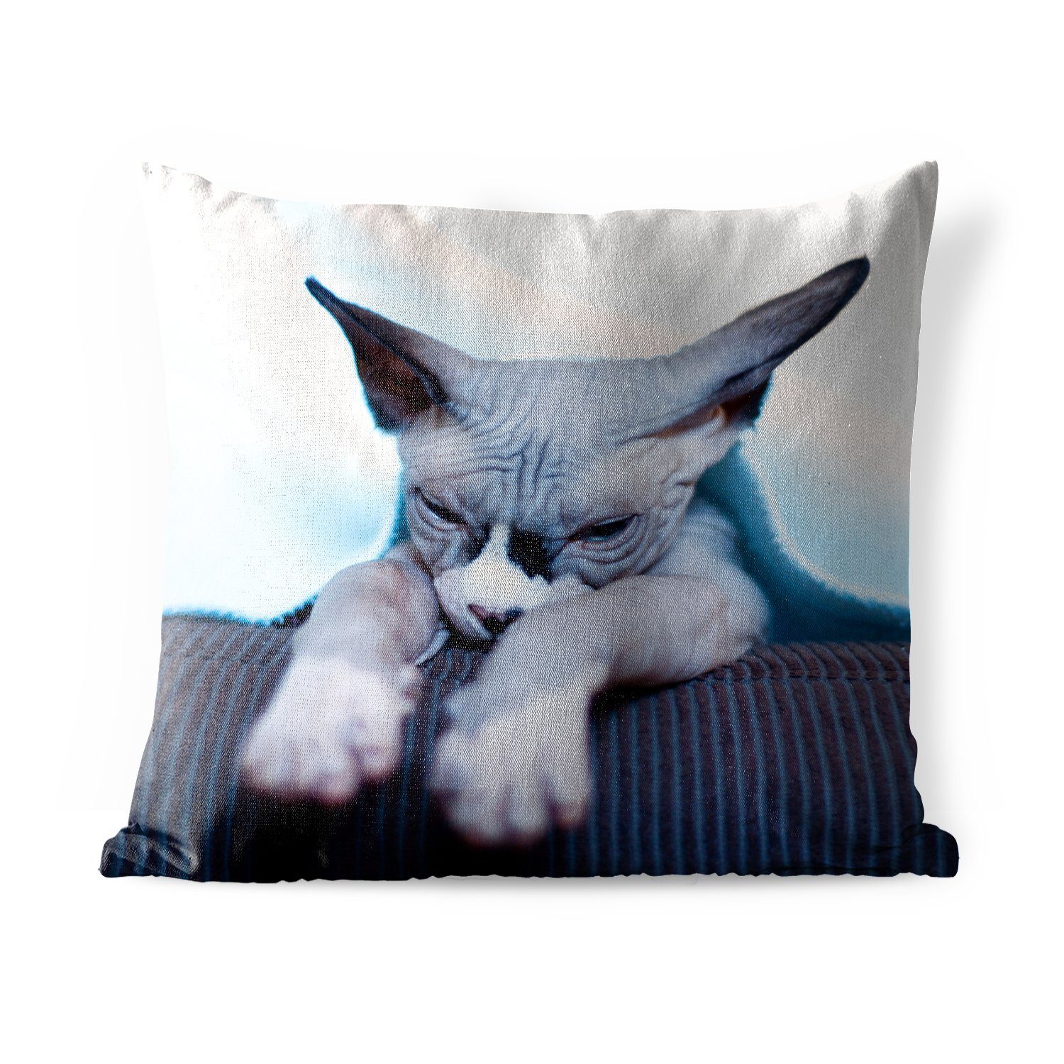 MuchoWow Dekokissen Eine schläfrige Sphynx-Katze auf dem Sofa, Kissenbezüge, Kissenhülle, Dekokissen, Dekokissenbezug, Outdoor
