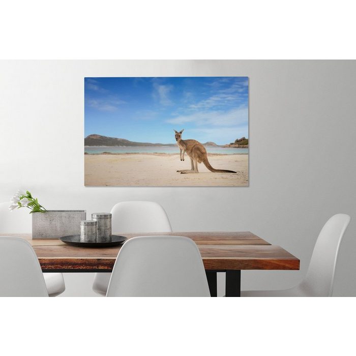 OneMillionCanvasses® Leinwandbild Strand - Känguru - Australien (1 St) Wandbild Leinwandbilder Aufhängefertig Wanddeko